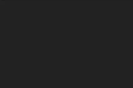 #222222 / rgb(34, 34, 34)