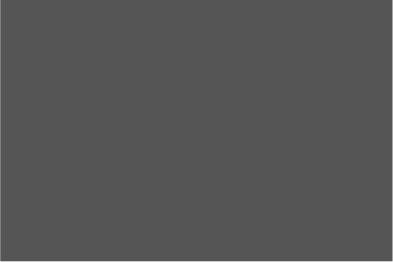 #555555 / rgb(85, 85, 85)