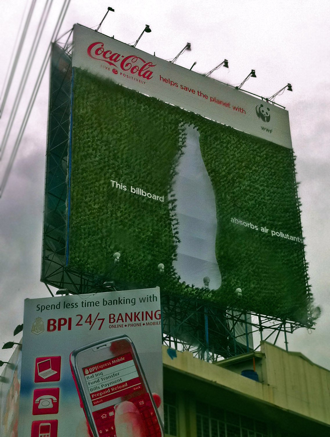 wwf-billboard-by-lory-tan.jpeg