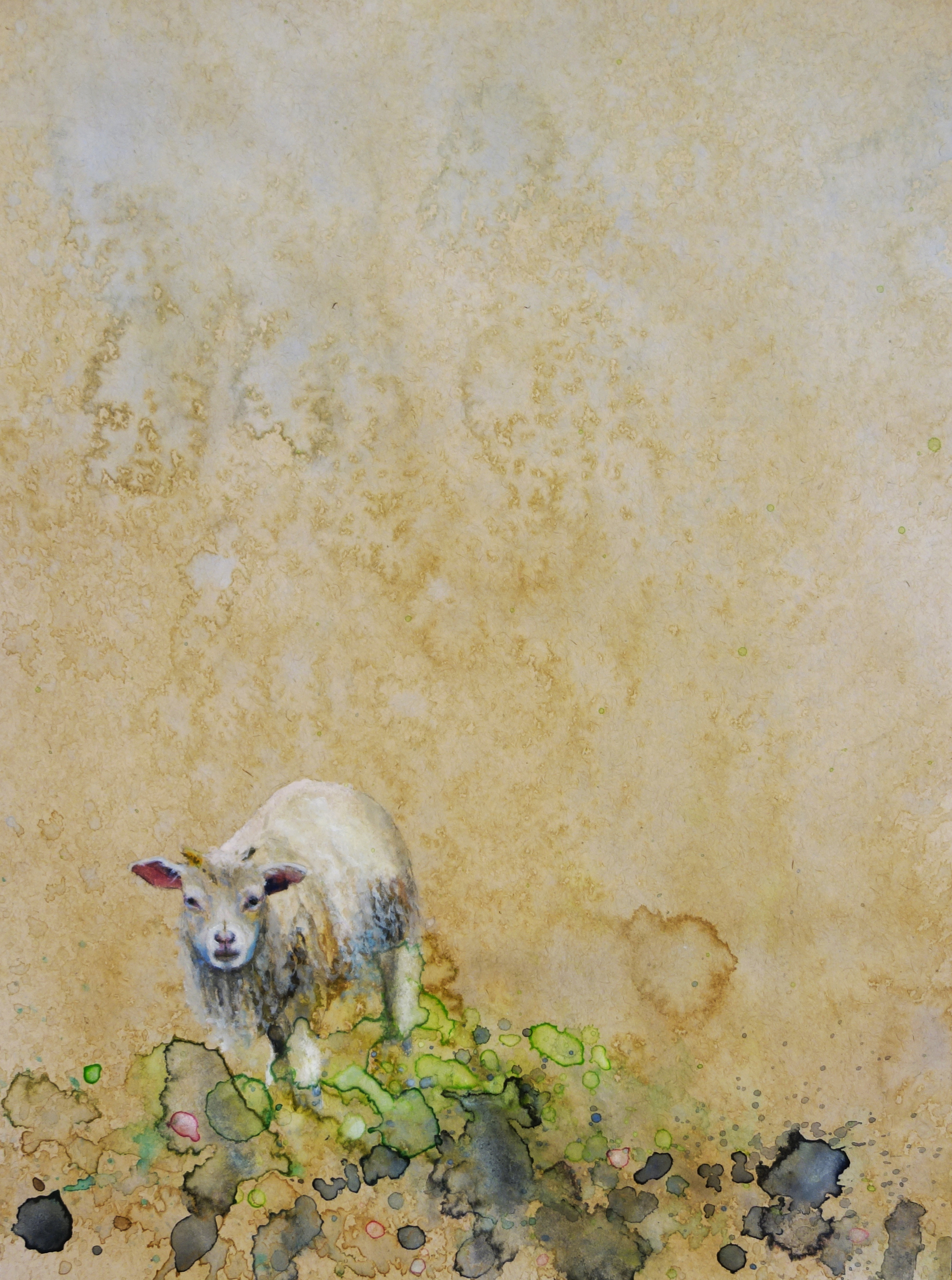 Lamb in Moss