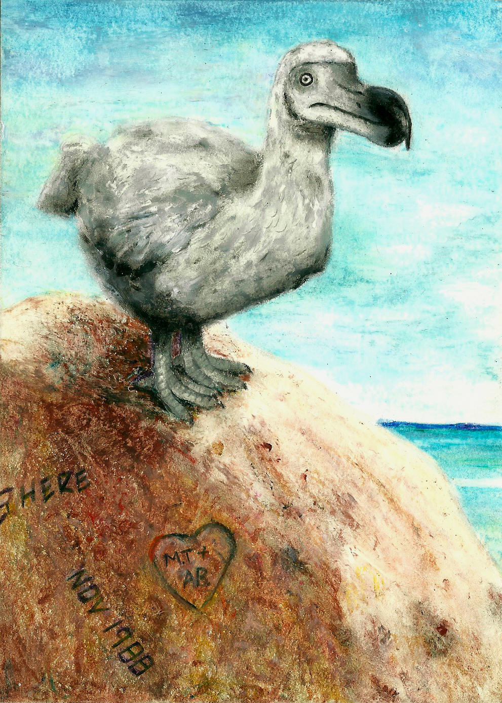 Dodo on Tourist Rock