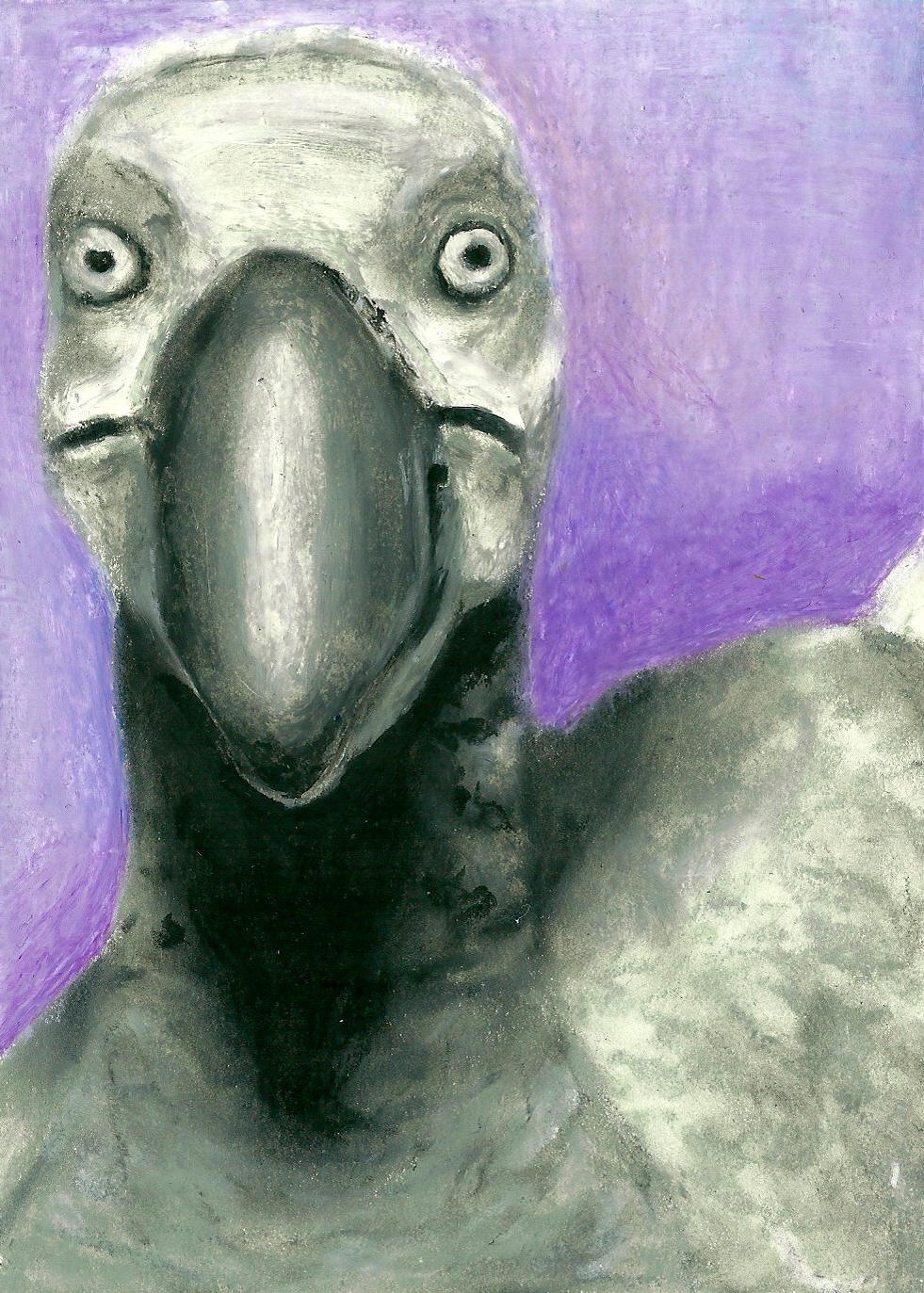 Dodo Headshot