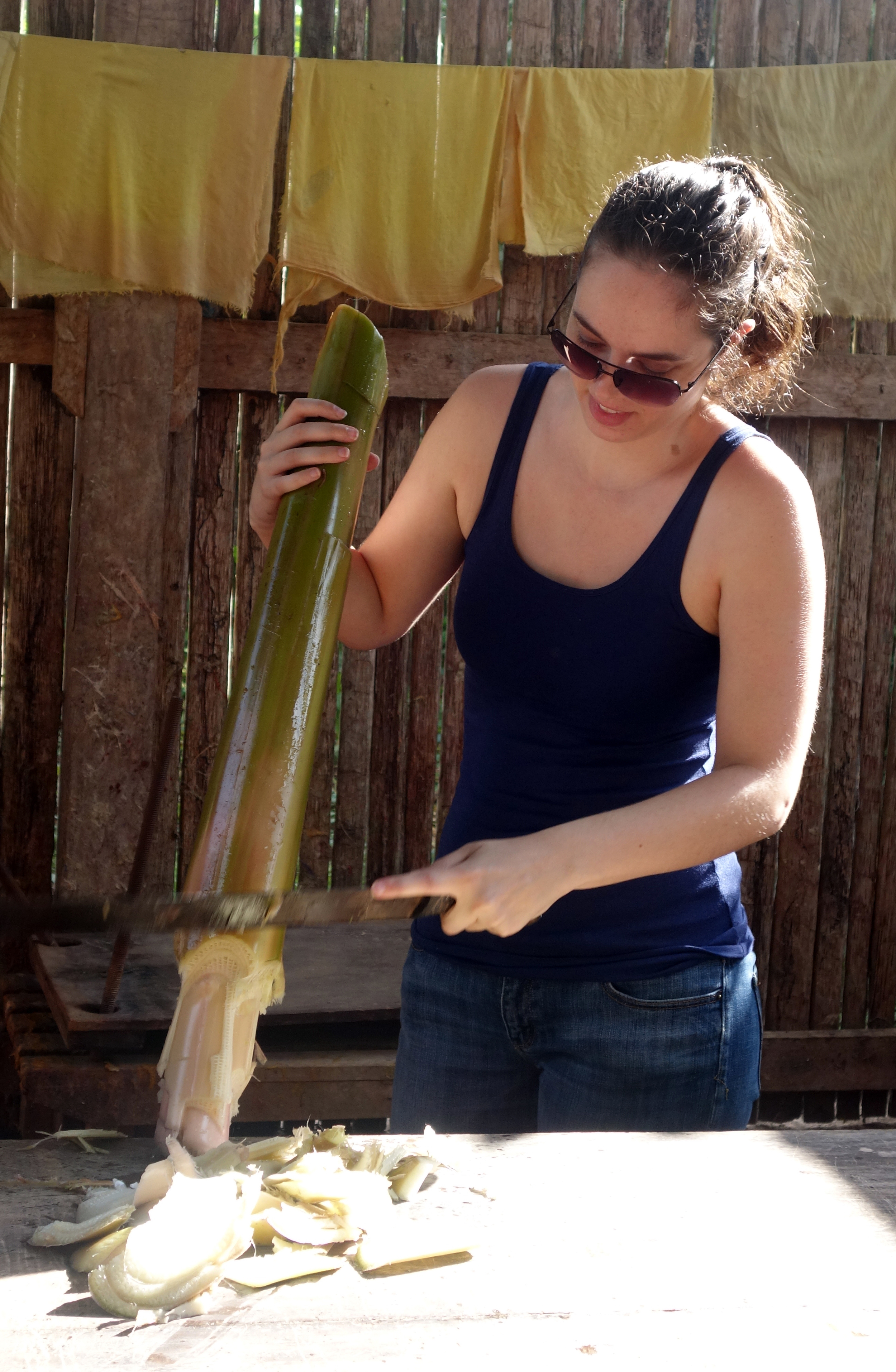  Shelby Prindaville harvesting banana fiber for homemade paper in Chazuta, Peru    