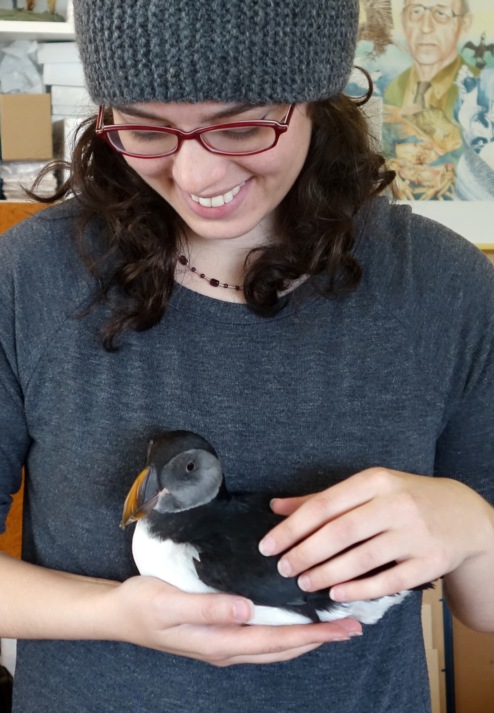 Shelby Prindaville holding a rescued juvenile puffin in the Westman Islands, Iceland