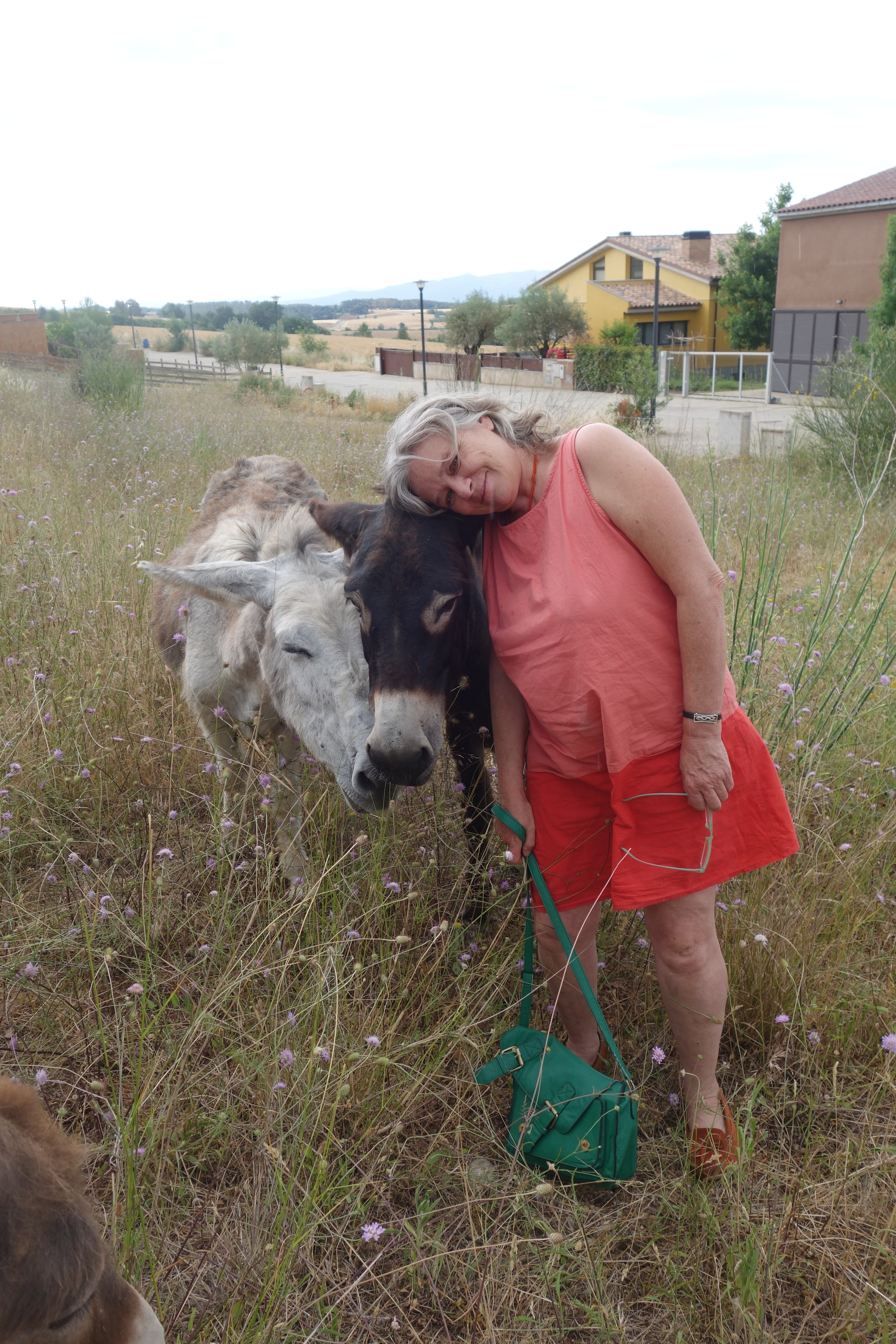  Clara with two of the donkeys. 