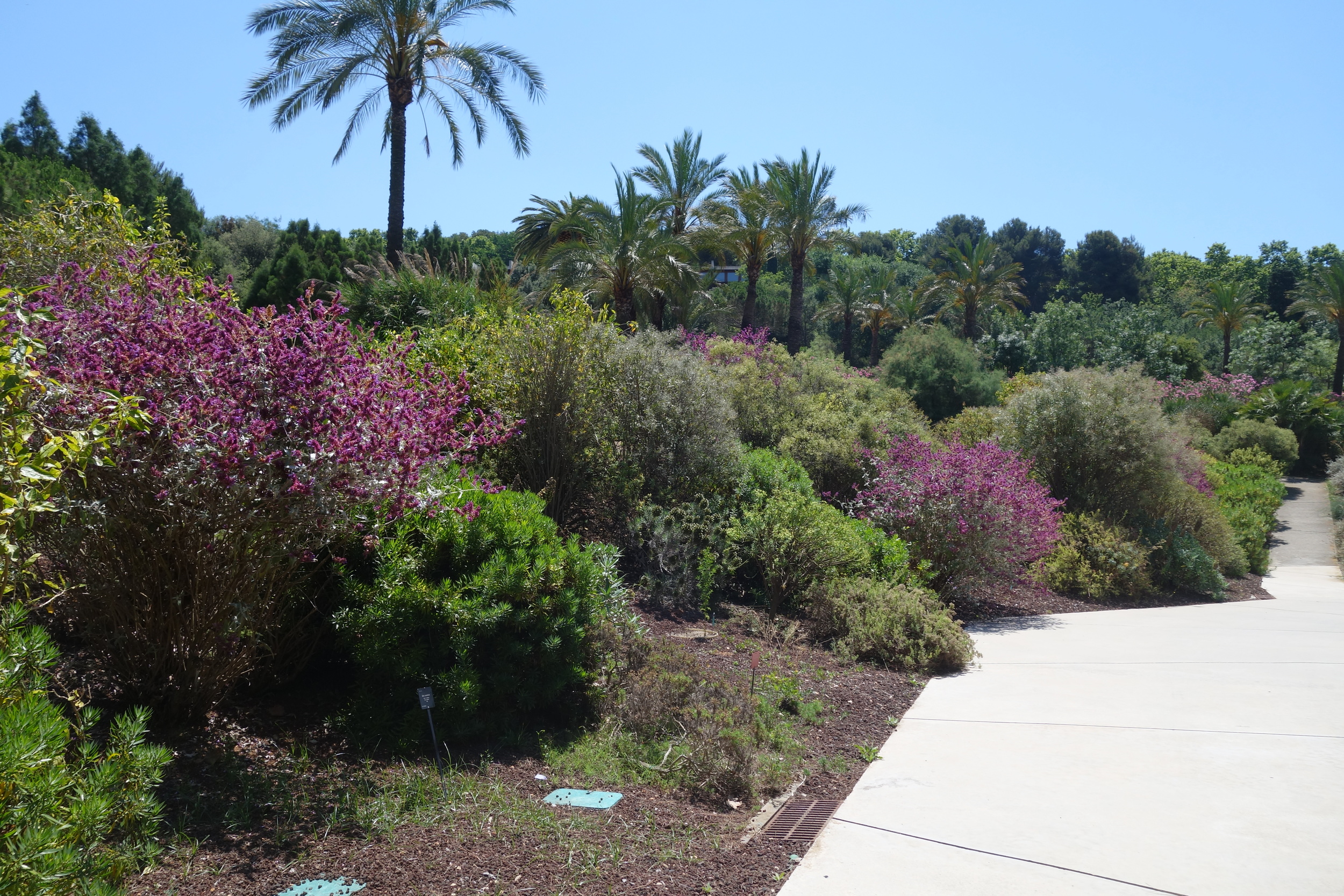  Barcelona Botanical Garden 