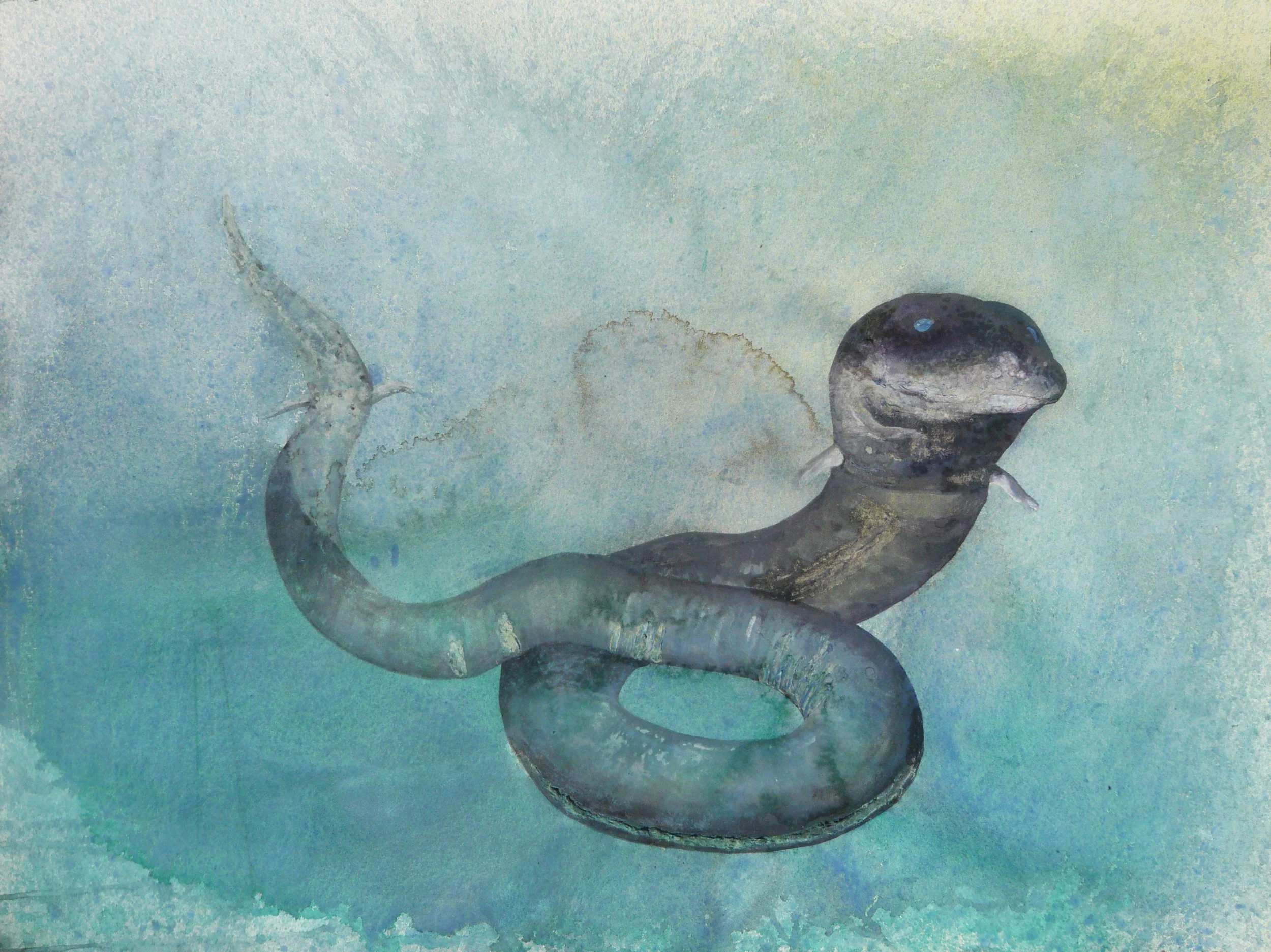 The previously commissioned portrait of John's amphiuma Chrissy.