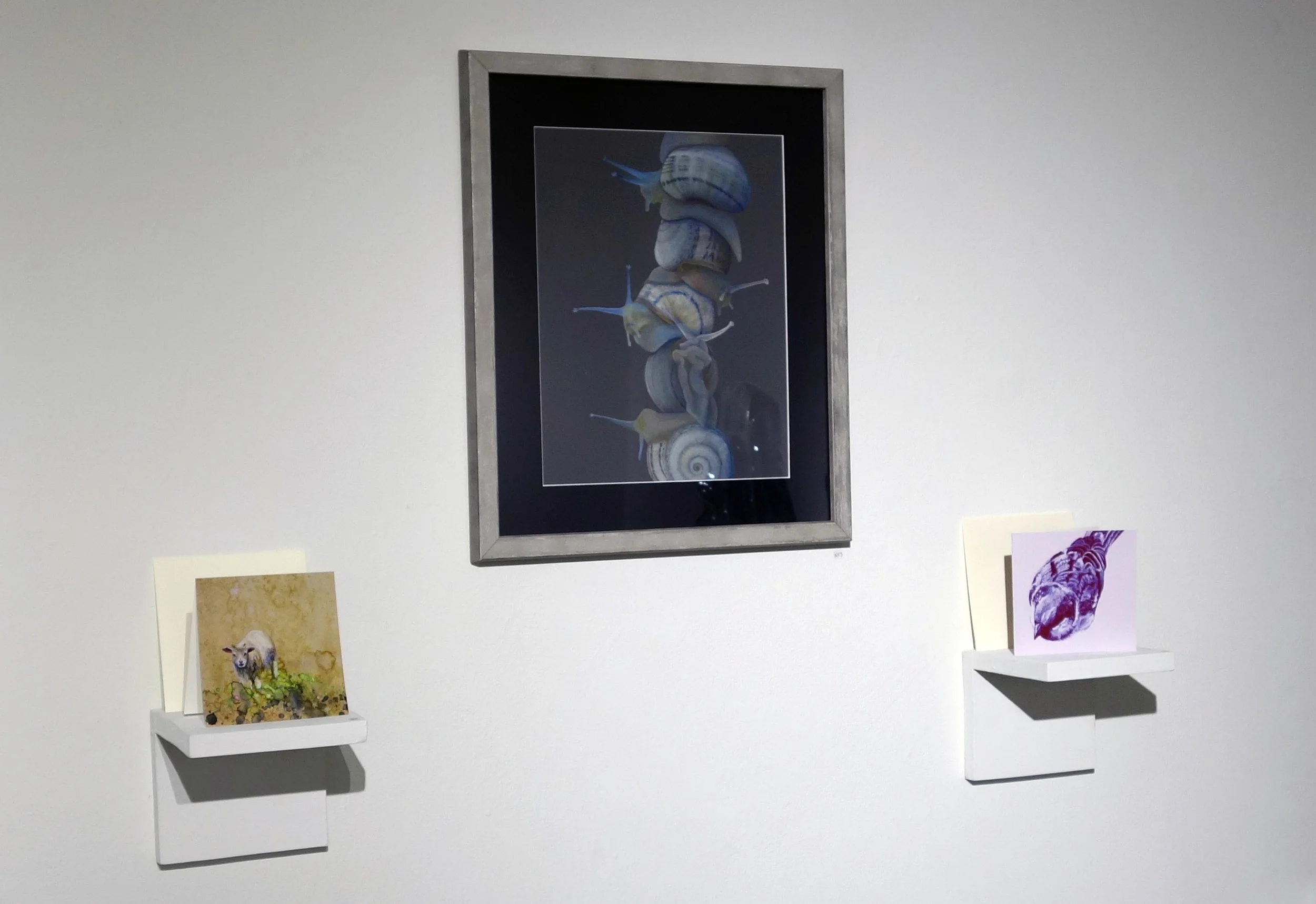 gallery5.jpg