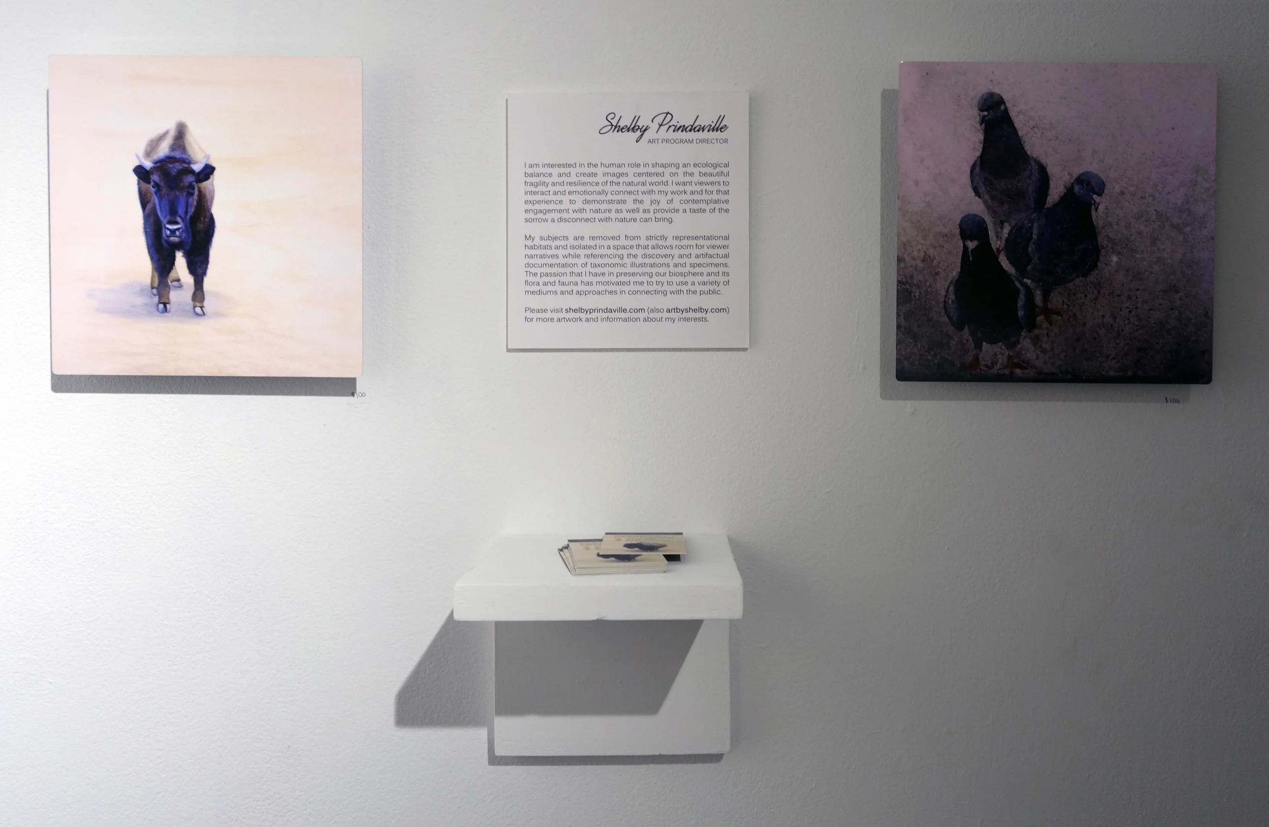 gallery4.jpg