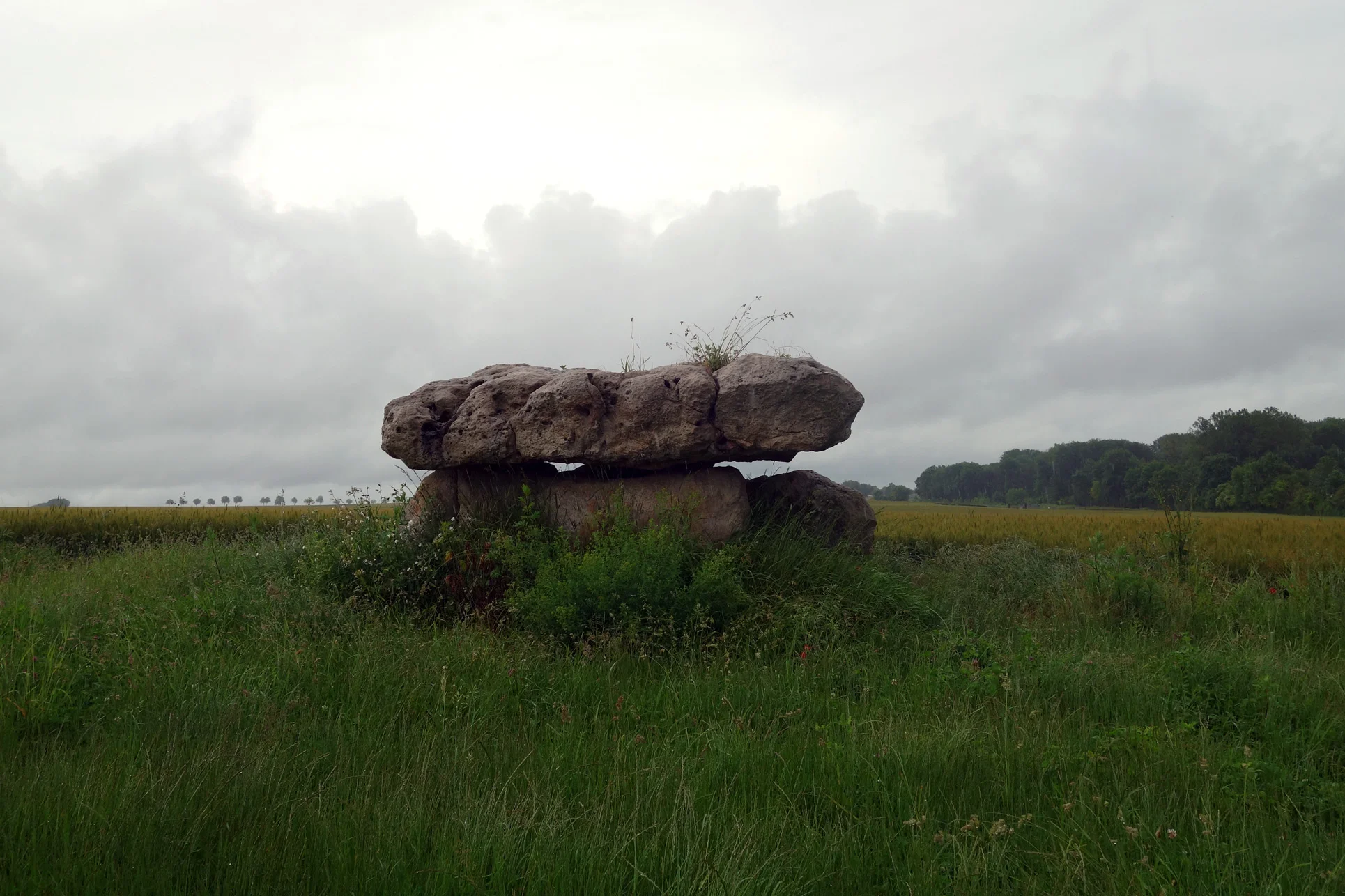 DSC01321v2.jpg