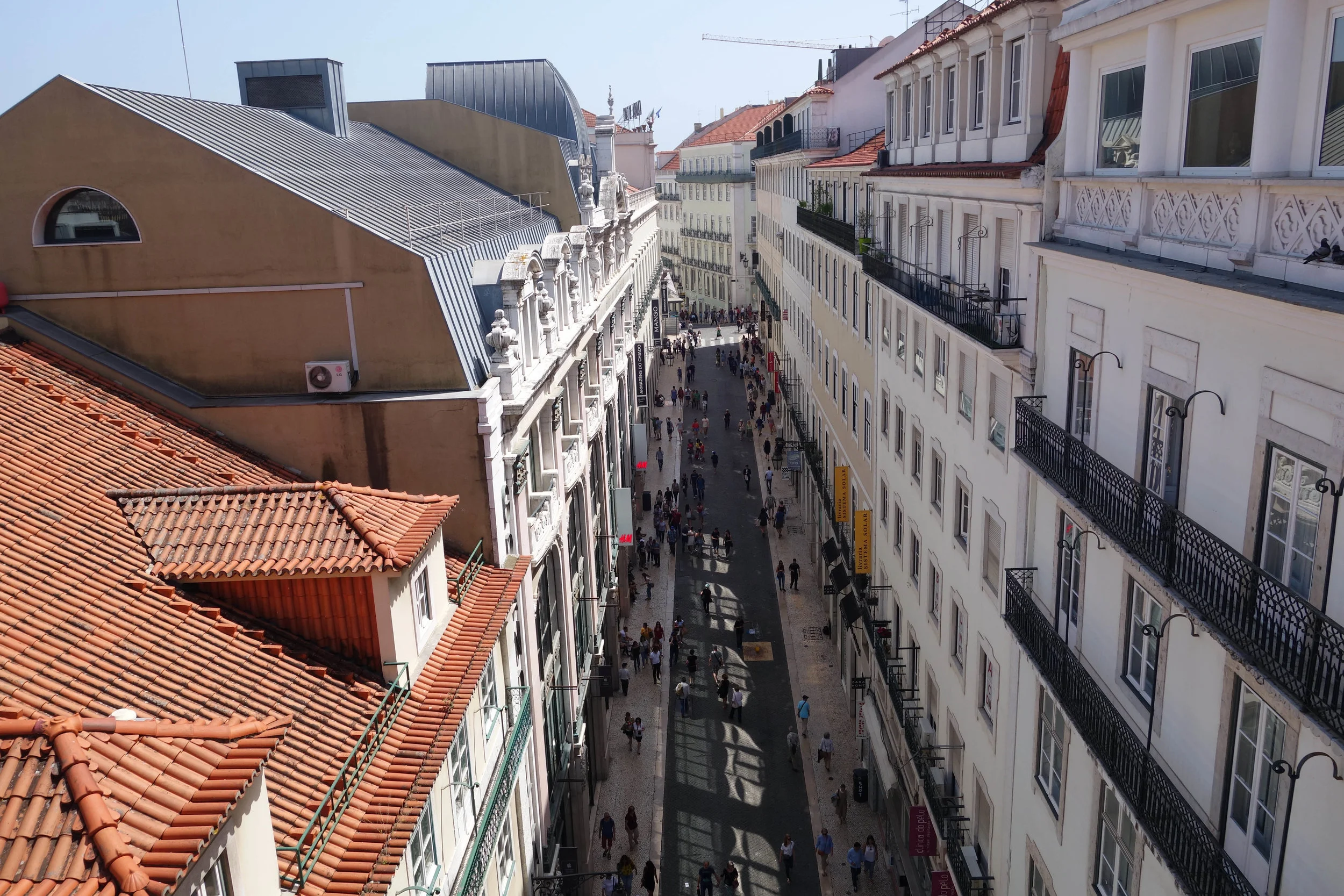 DSC03549v2.jpg
