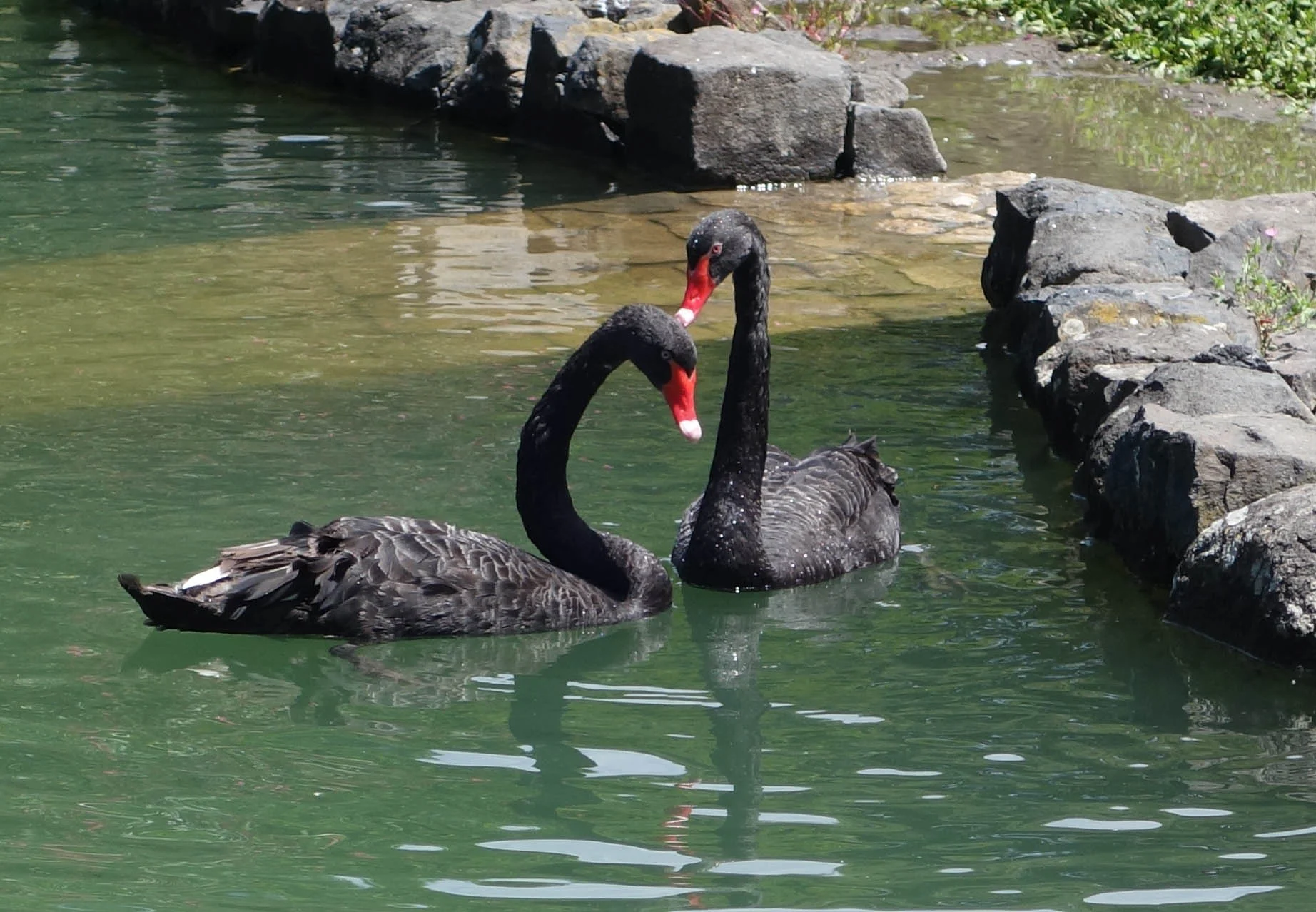 DSC03381v2.jpg