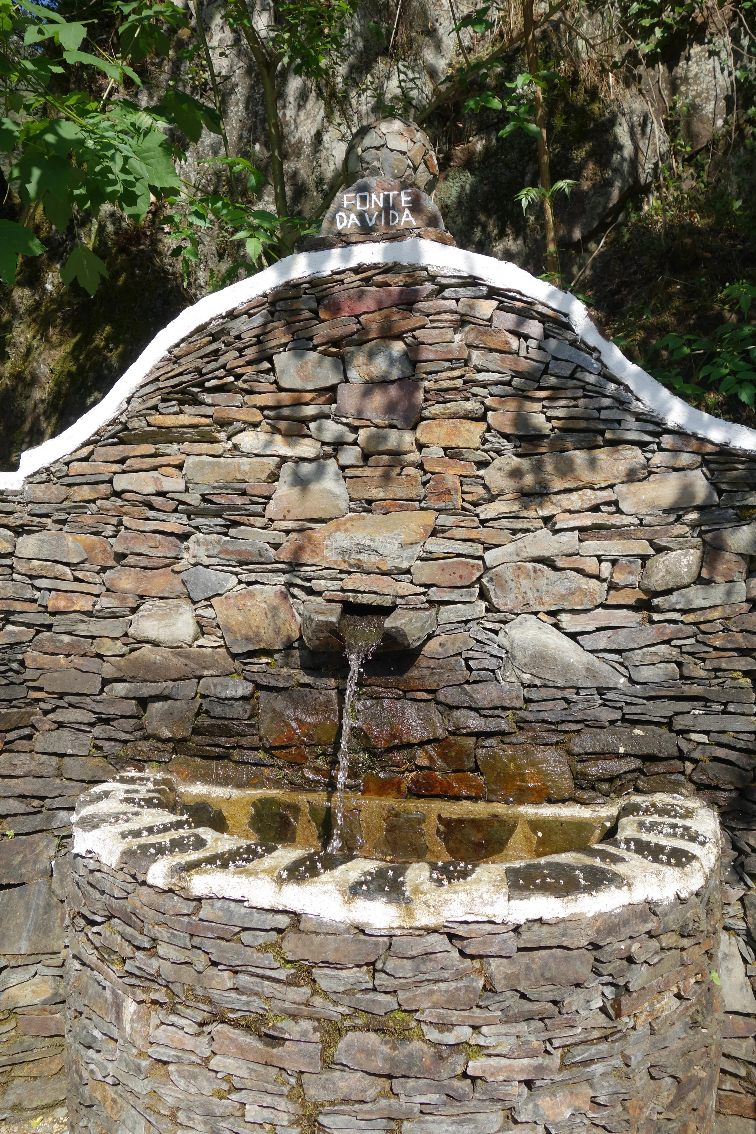 DSC03719v2.jpg