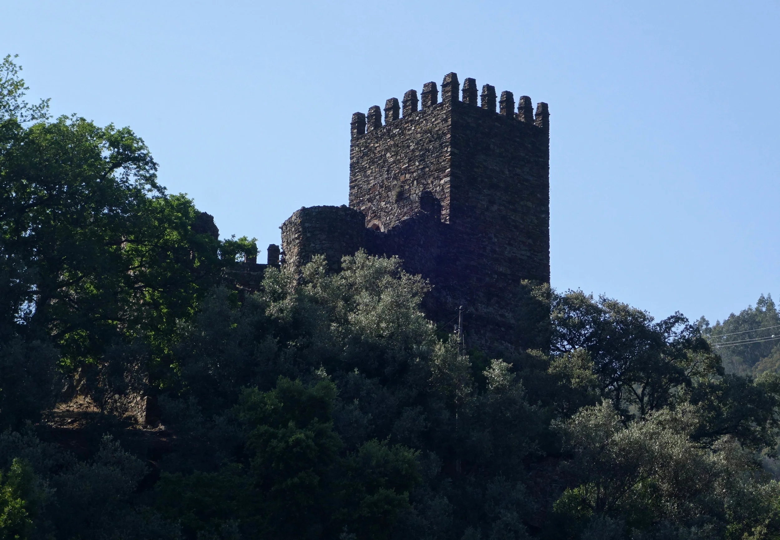 DSC03721v2.jpg