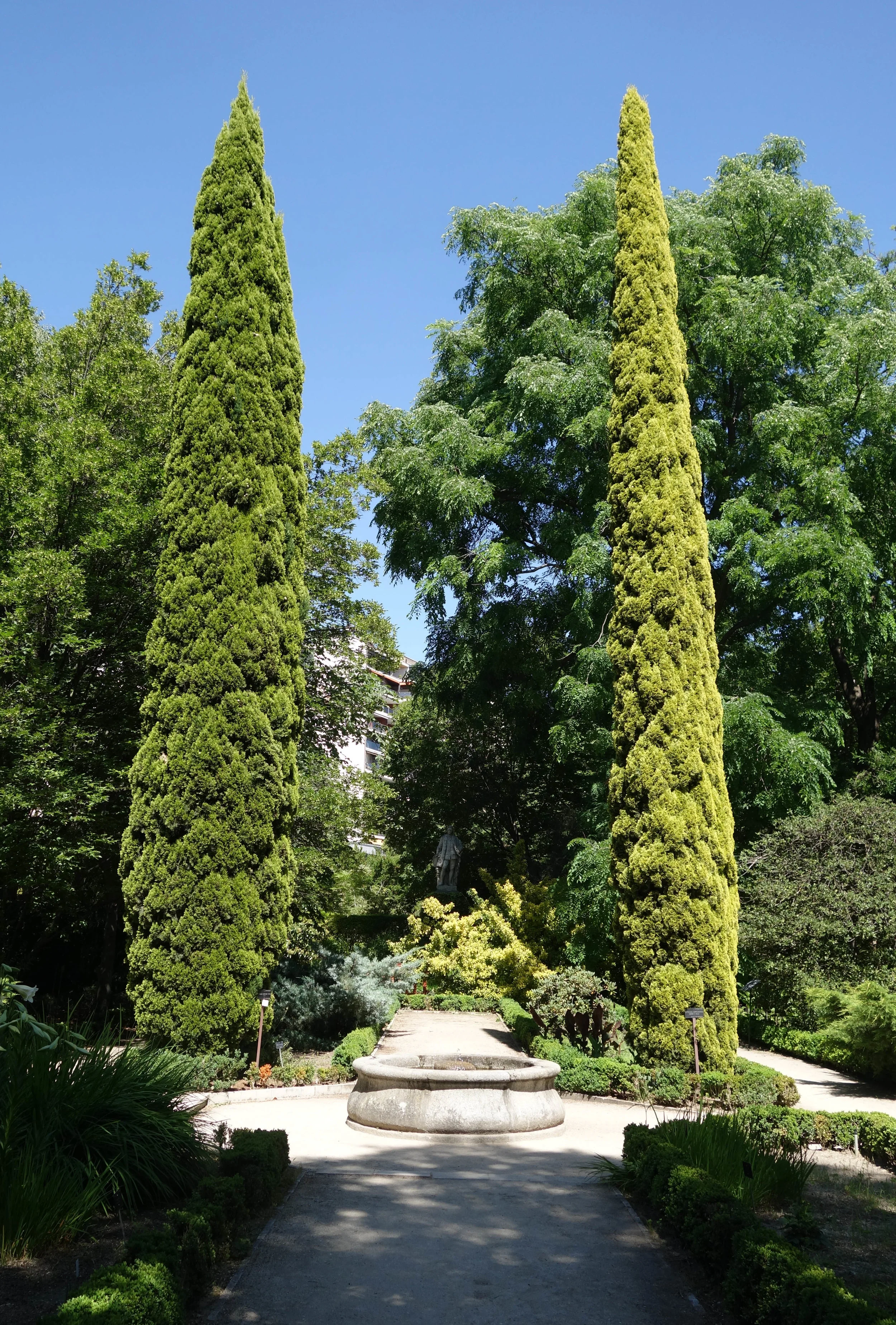 DSC05117v2.jpg