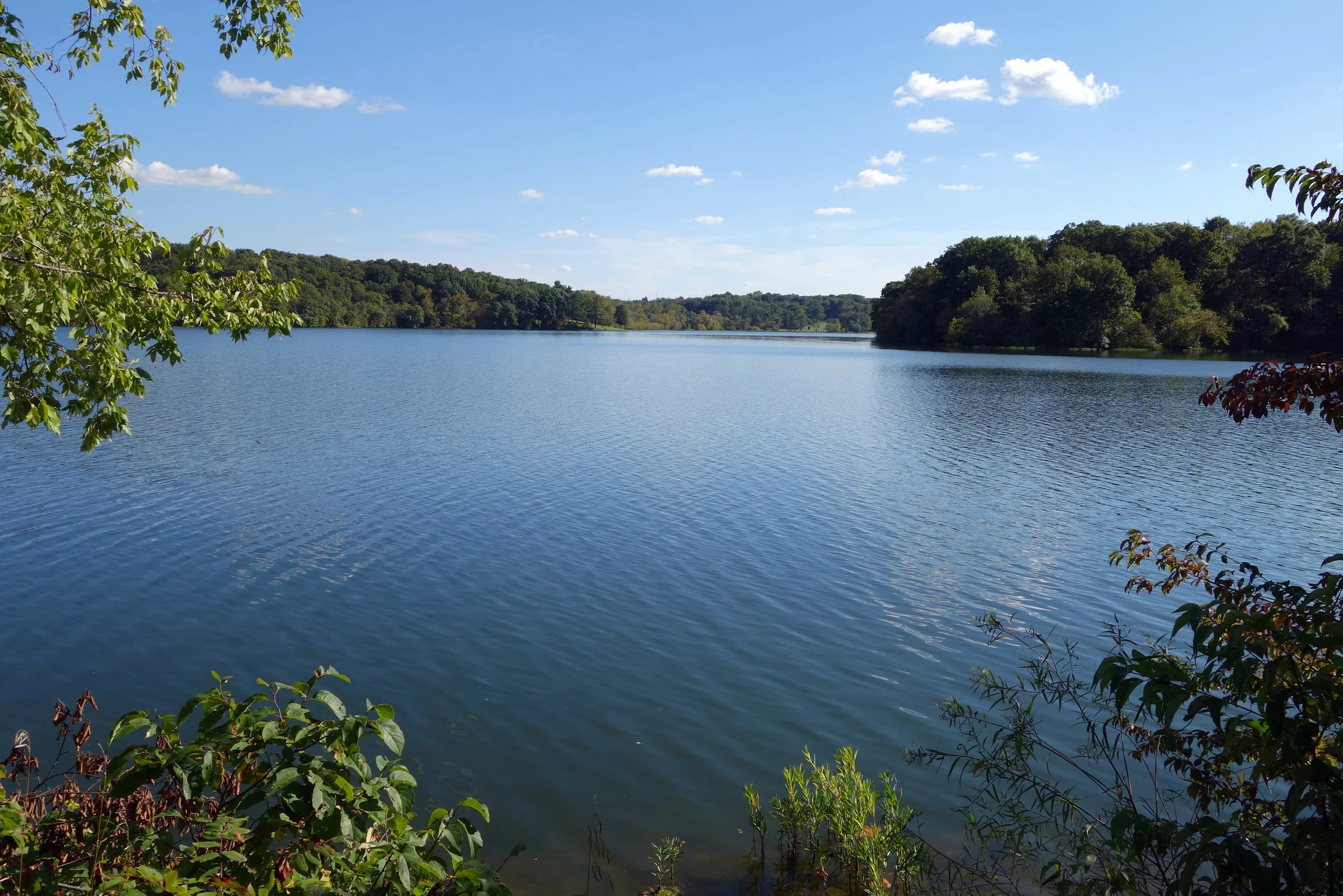 Wyandotte Co Lake.jpg