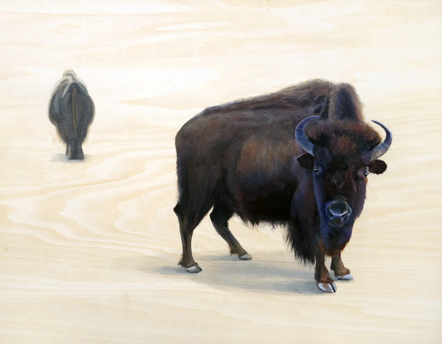 Confrontation