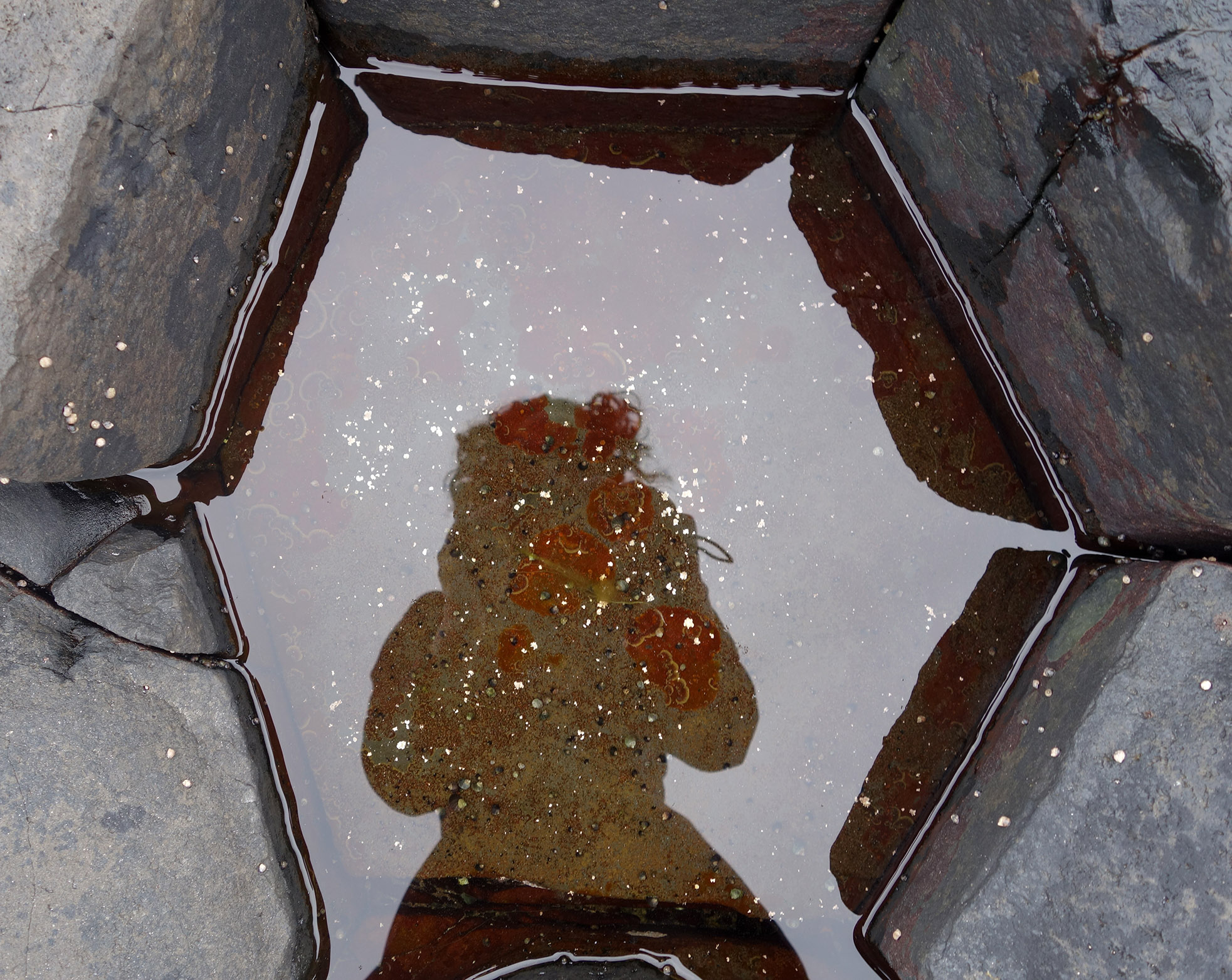 Me shadow reflection GiantsCauseway 1c.jpg