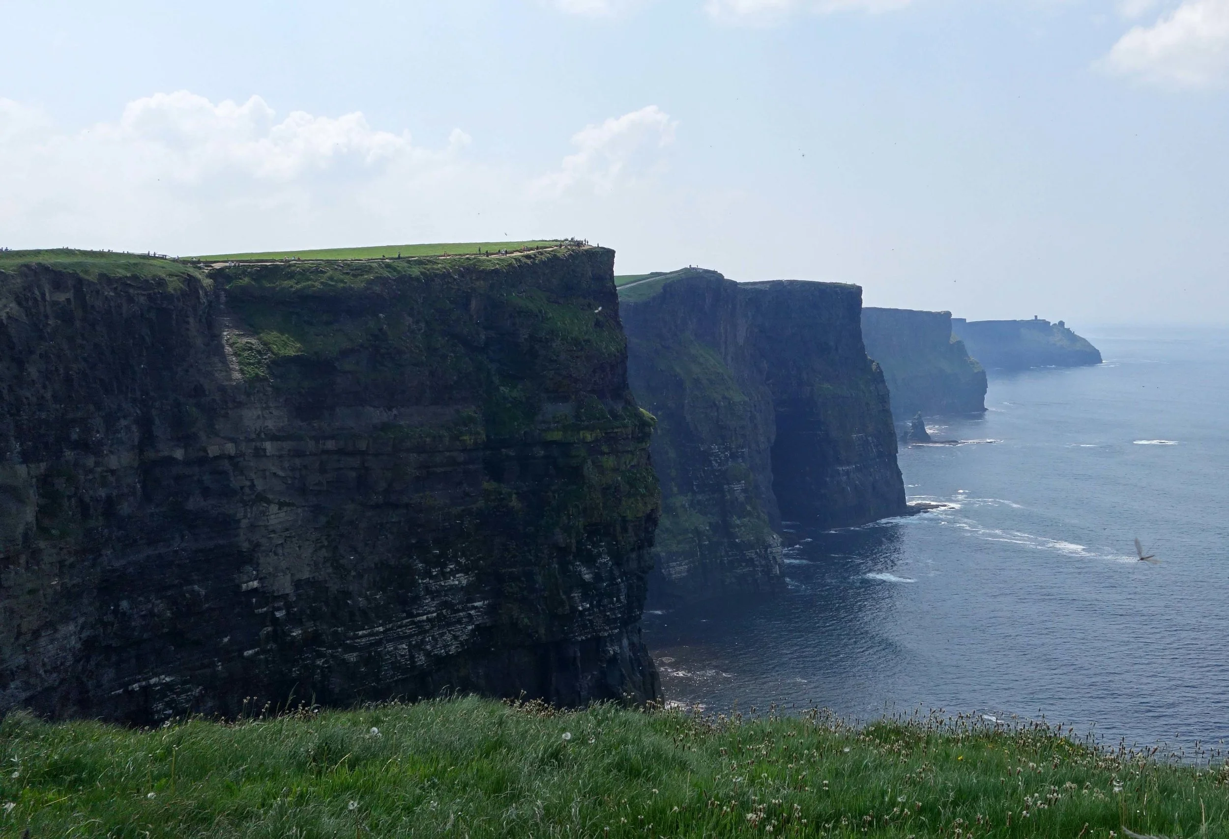 DSC00824v2.jpg