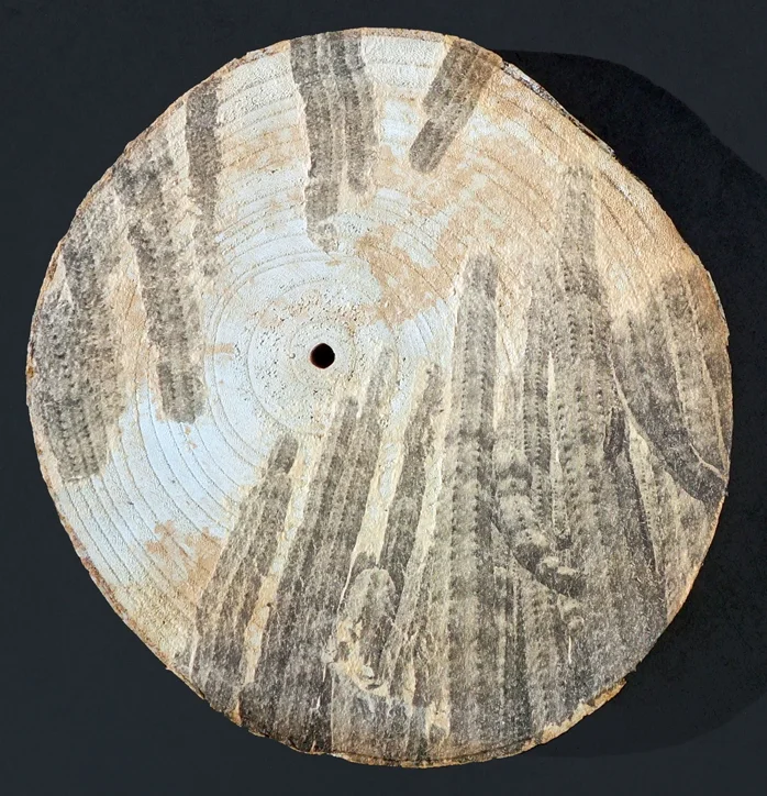 Copy of Gardens of Memory - Cereus
