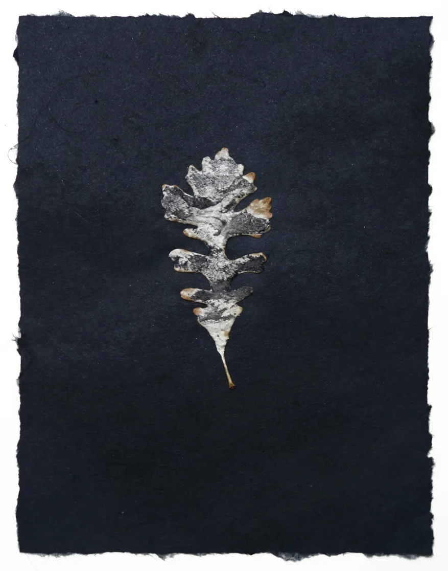 black paper small leaf 1c.jpg