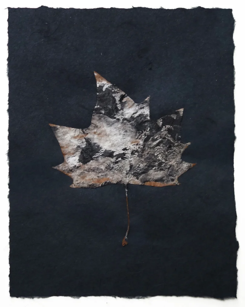 black paper medium leaf 1c.jpg