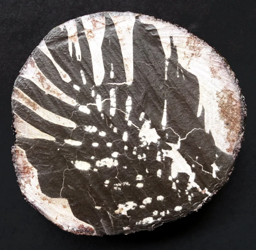 Gardens of Memory: Monstera