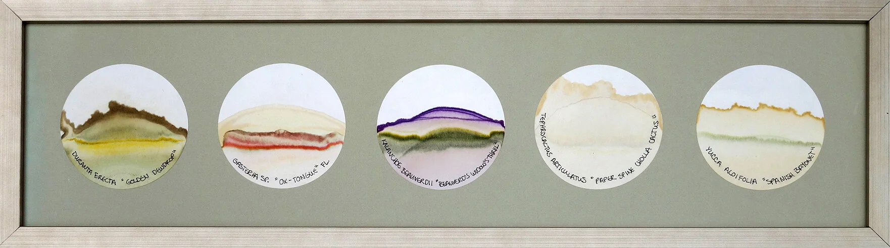 Transmigration Landscapes: Percussive