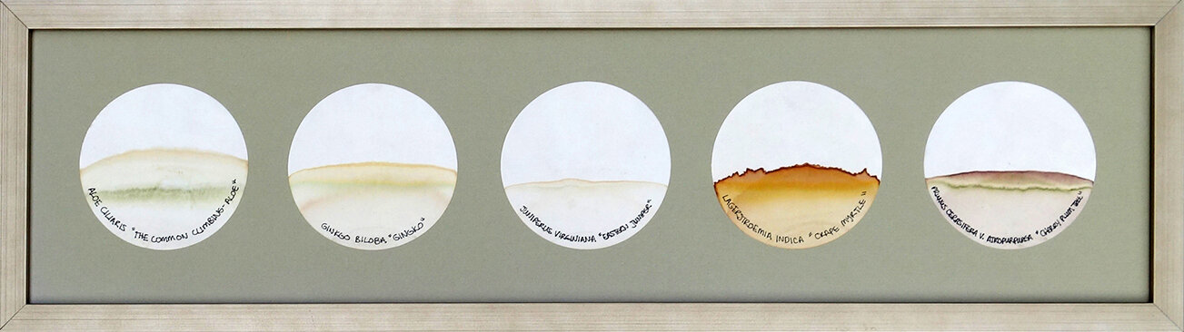 Transmigration Landscapes: Reflective