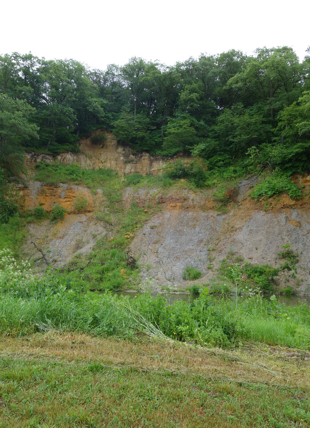 cliff in rain 1c.jpg