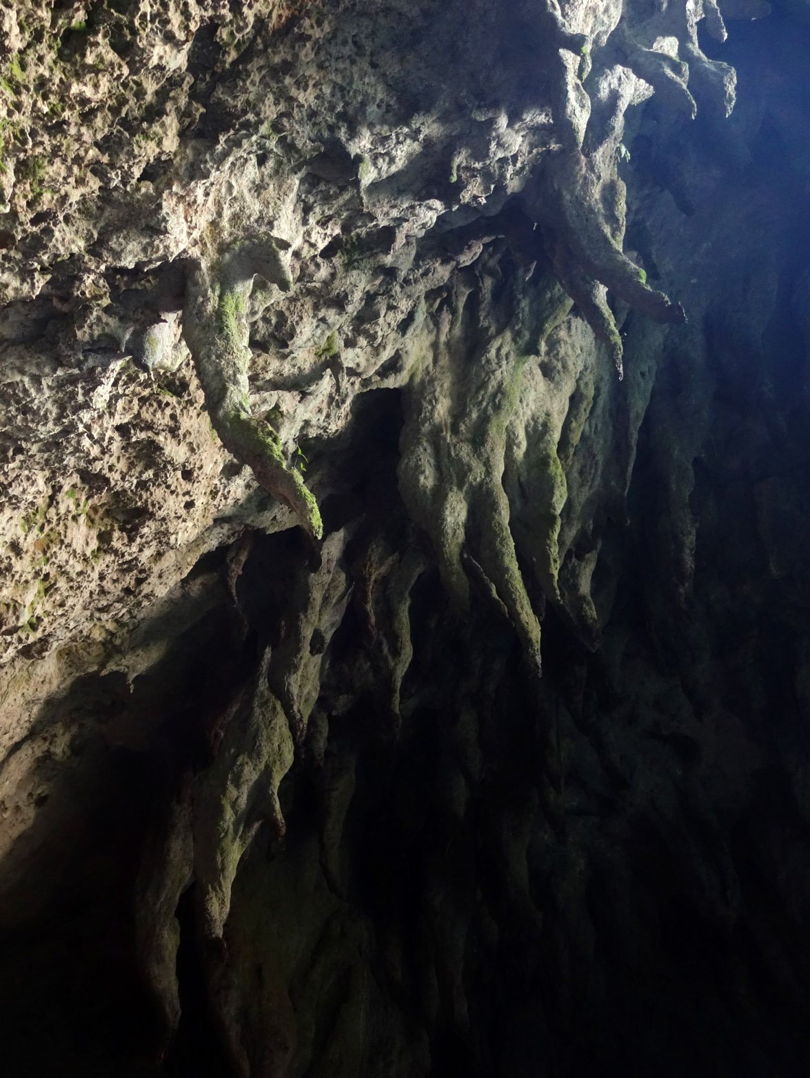stalactites 2.jpg