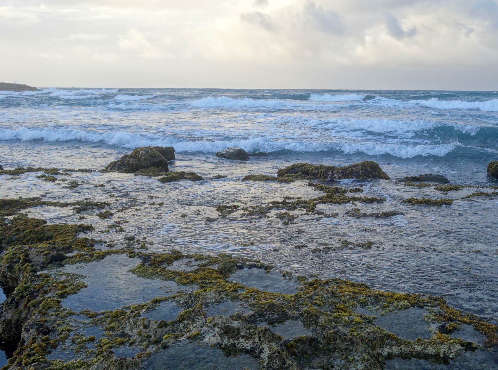 tide pools 1.jpg