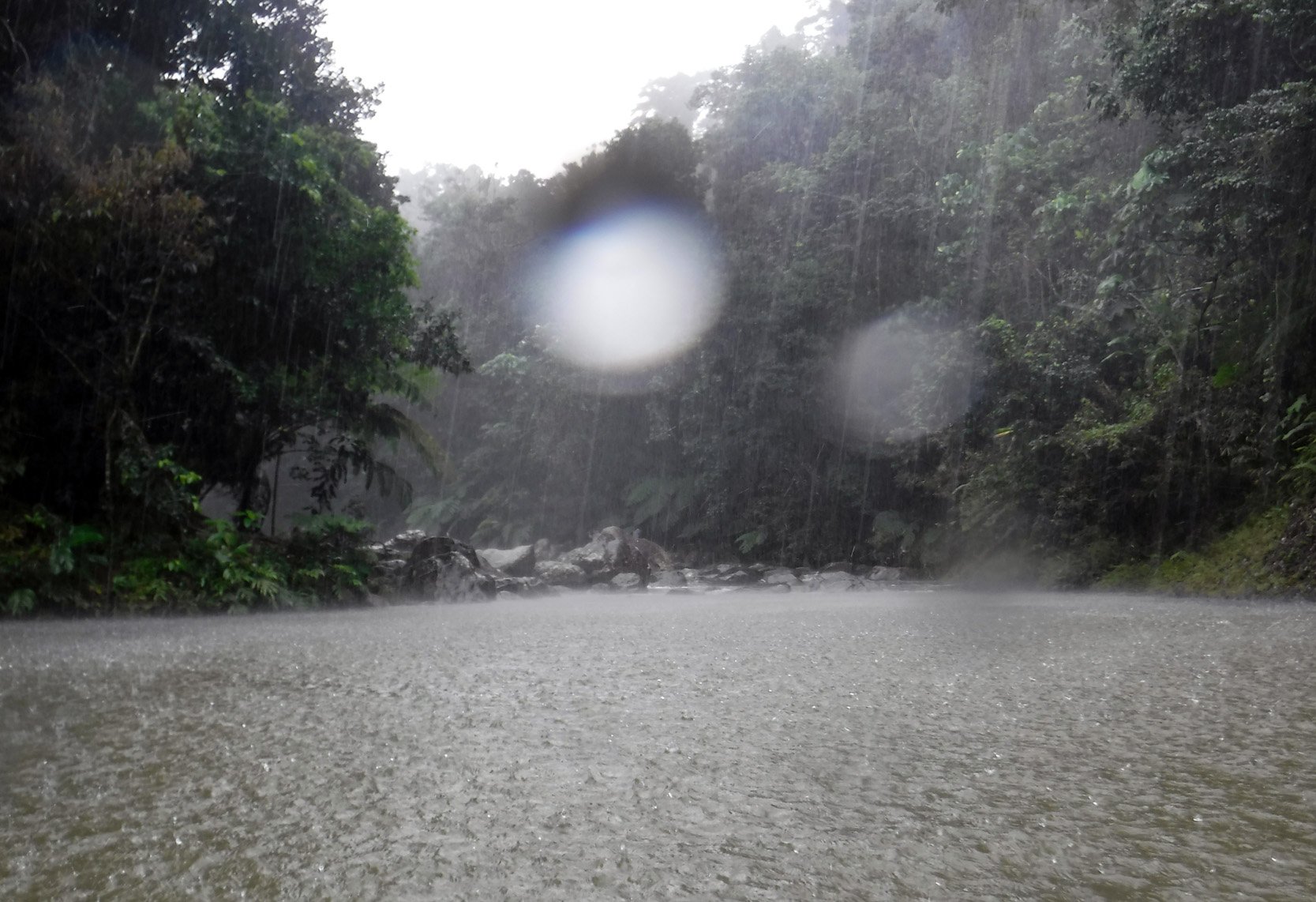 rainforest rain.jpg