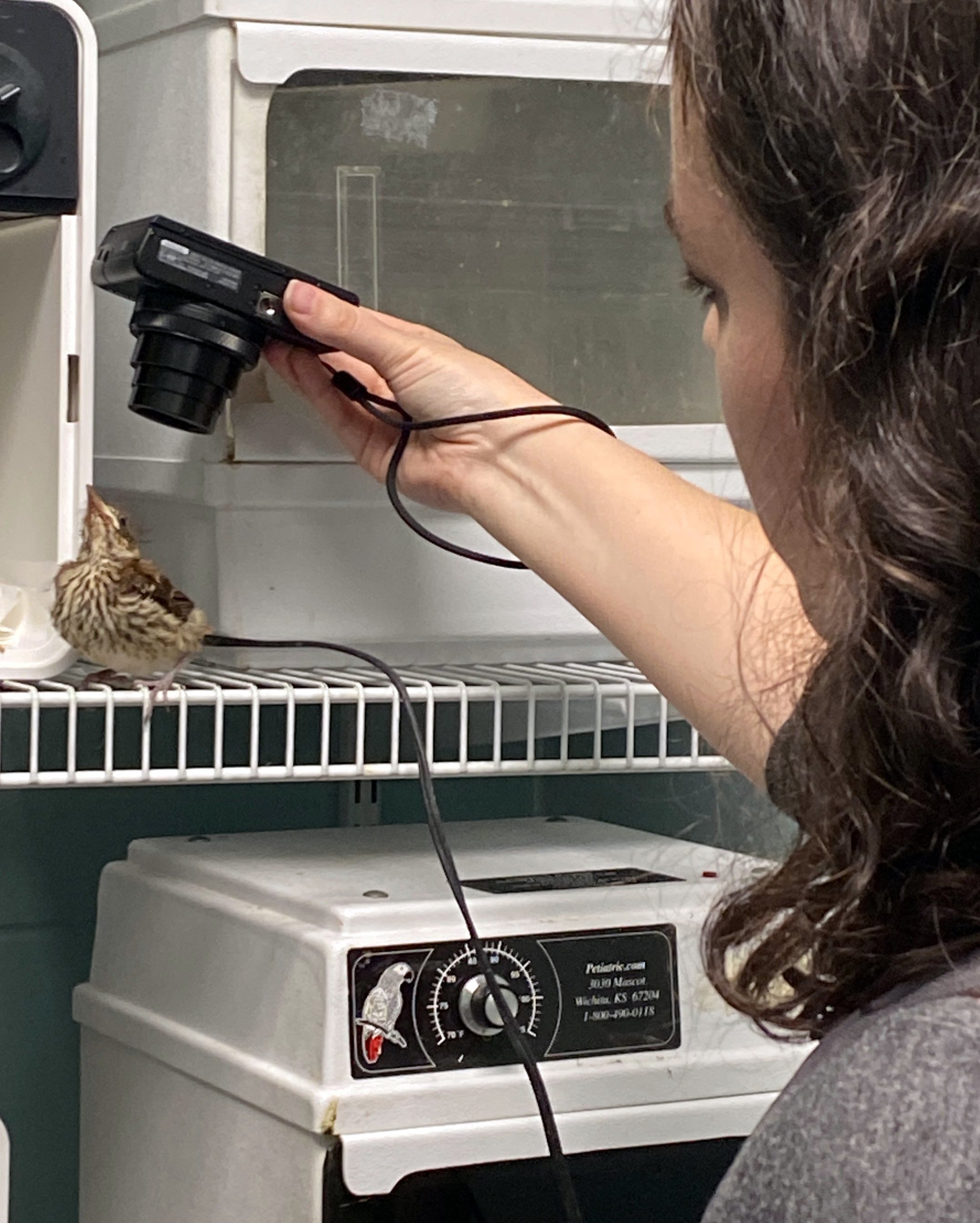 me and brown thrasher.jpg