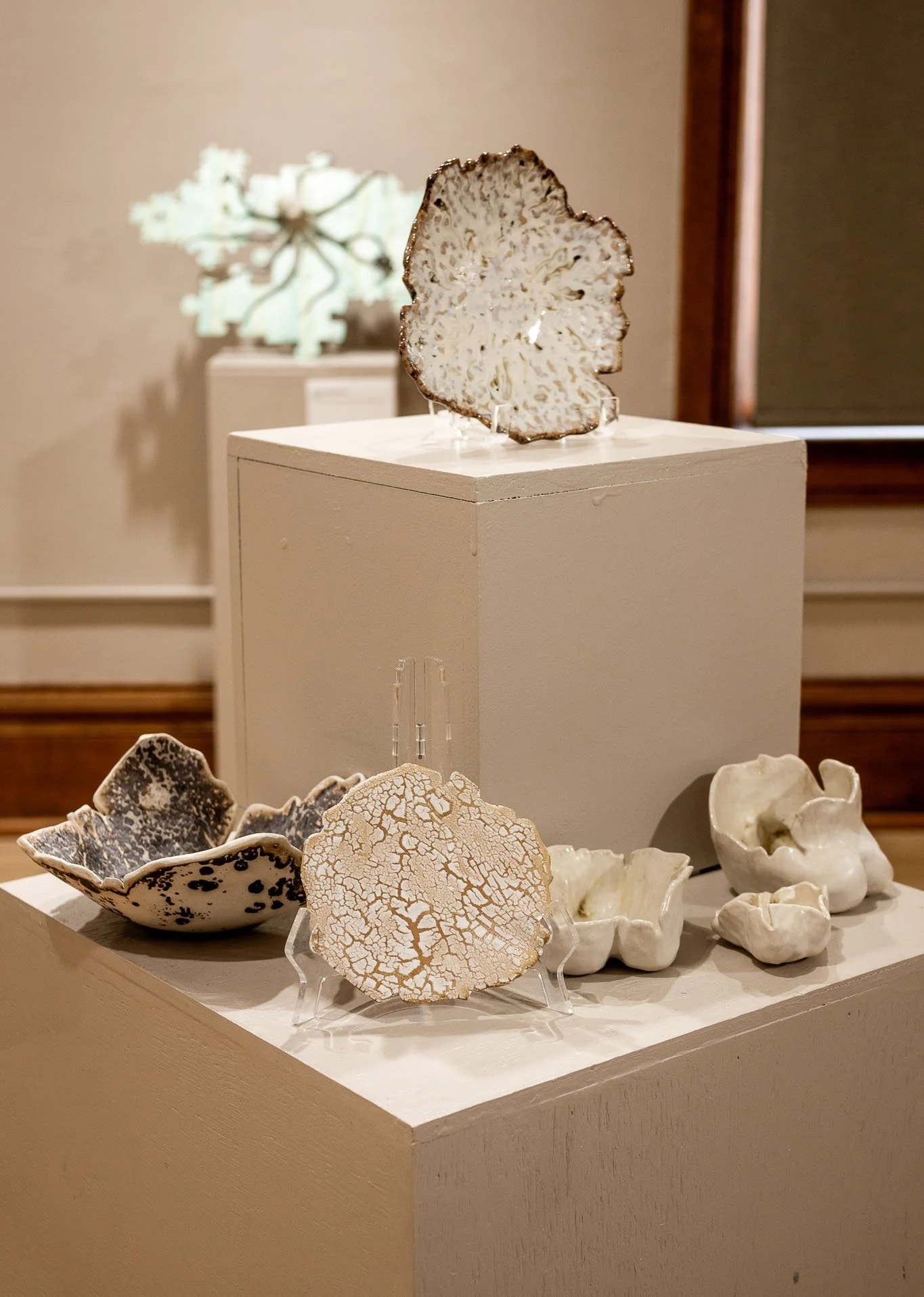 Biophilia show 5.jpg