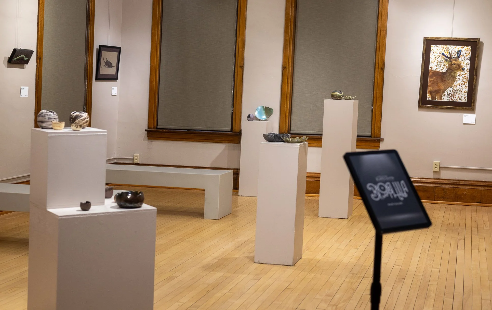 Biophilia show 3.jpg