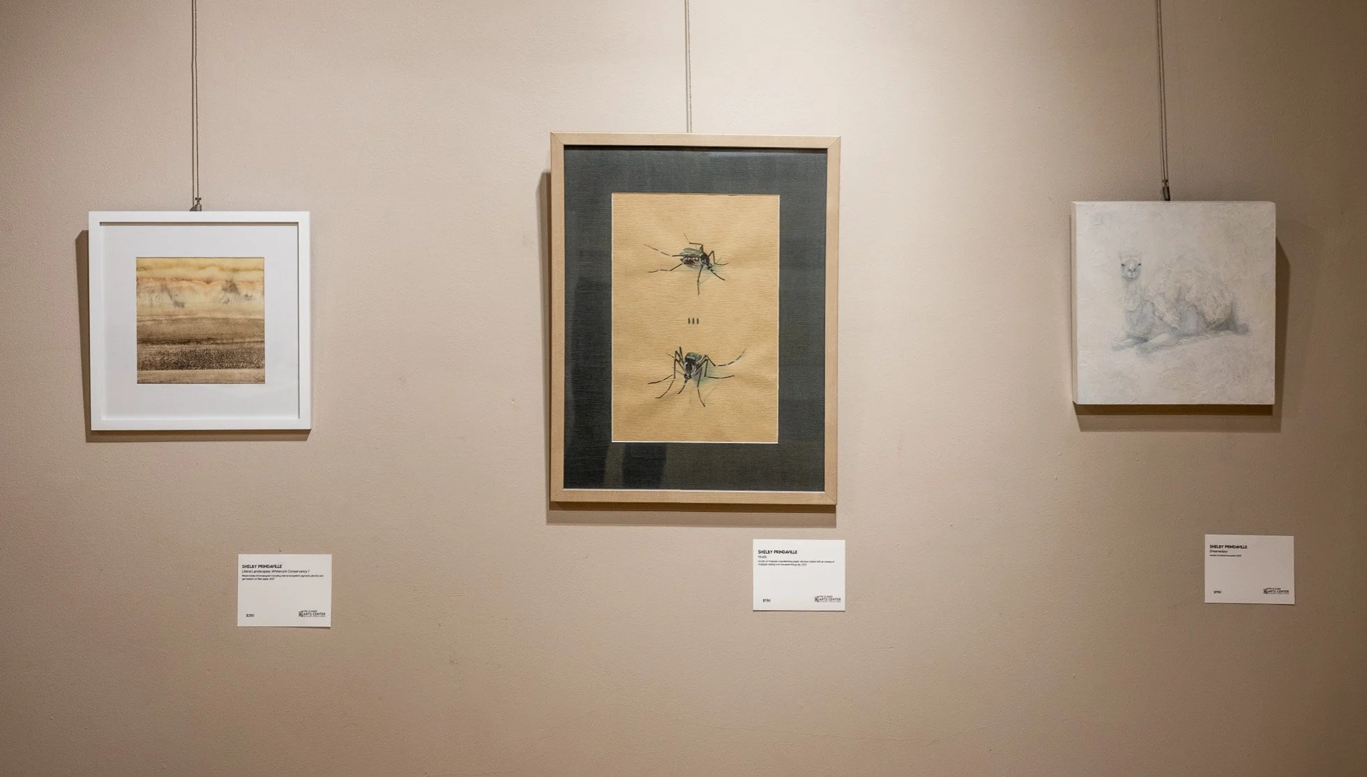 Biophilia show 9.jpg