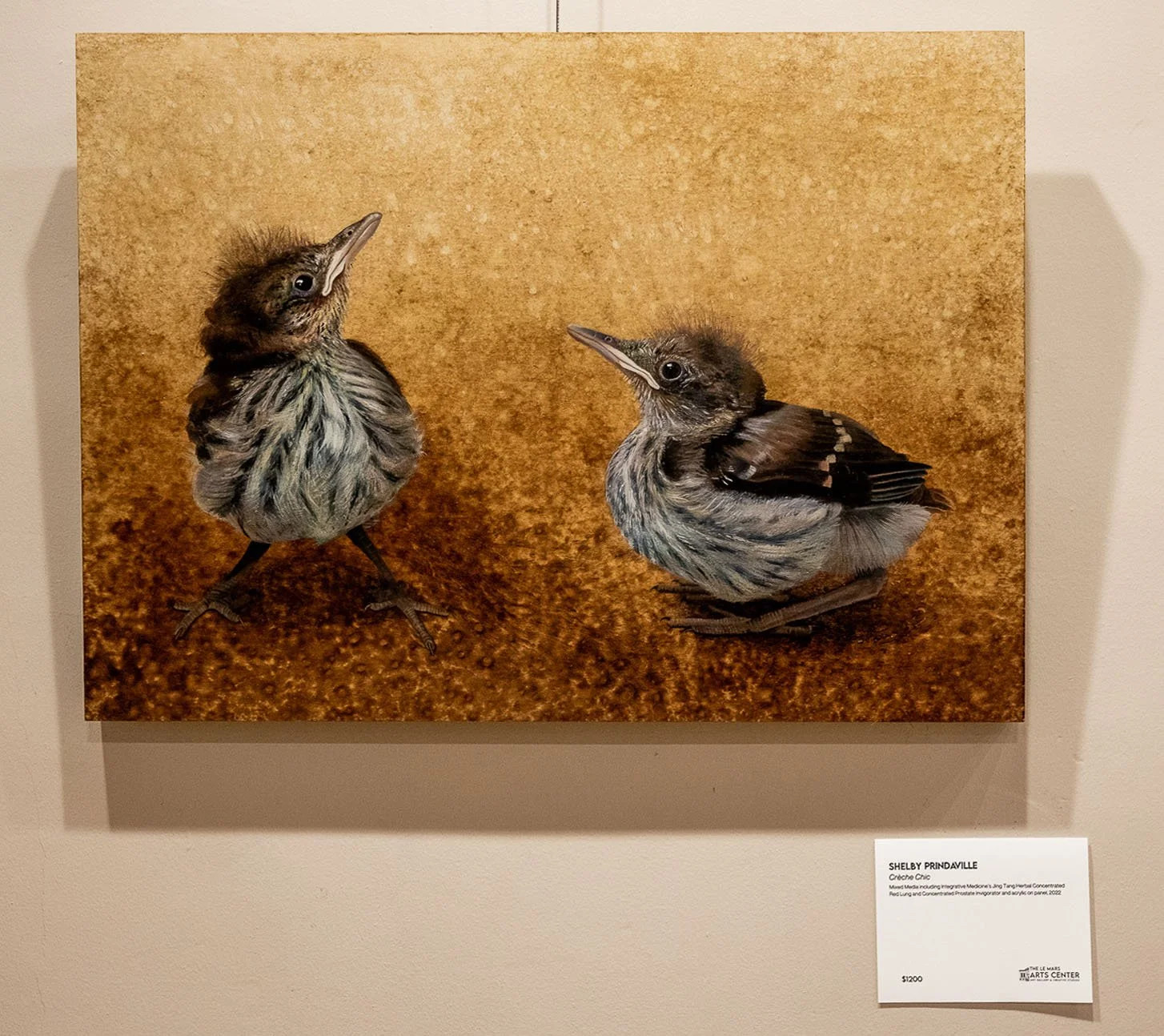 Biophilia show 13.jpg