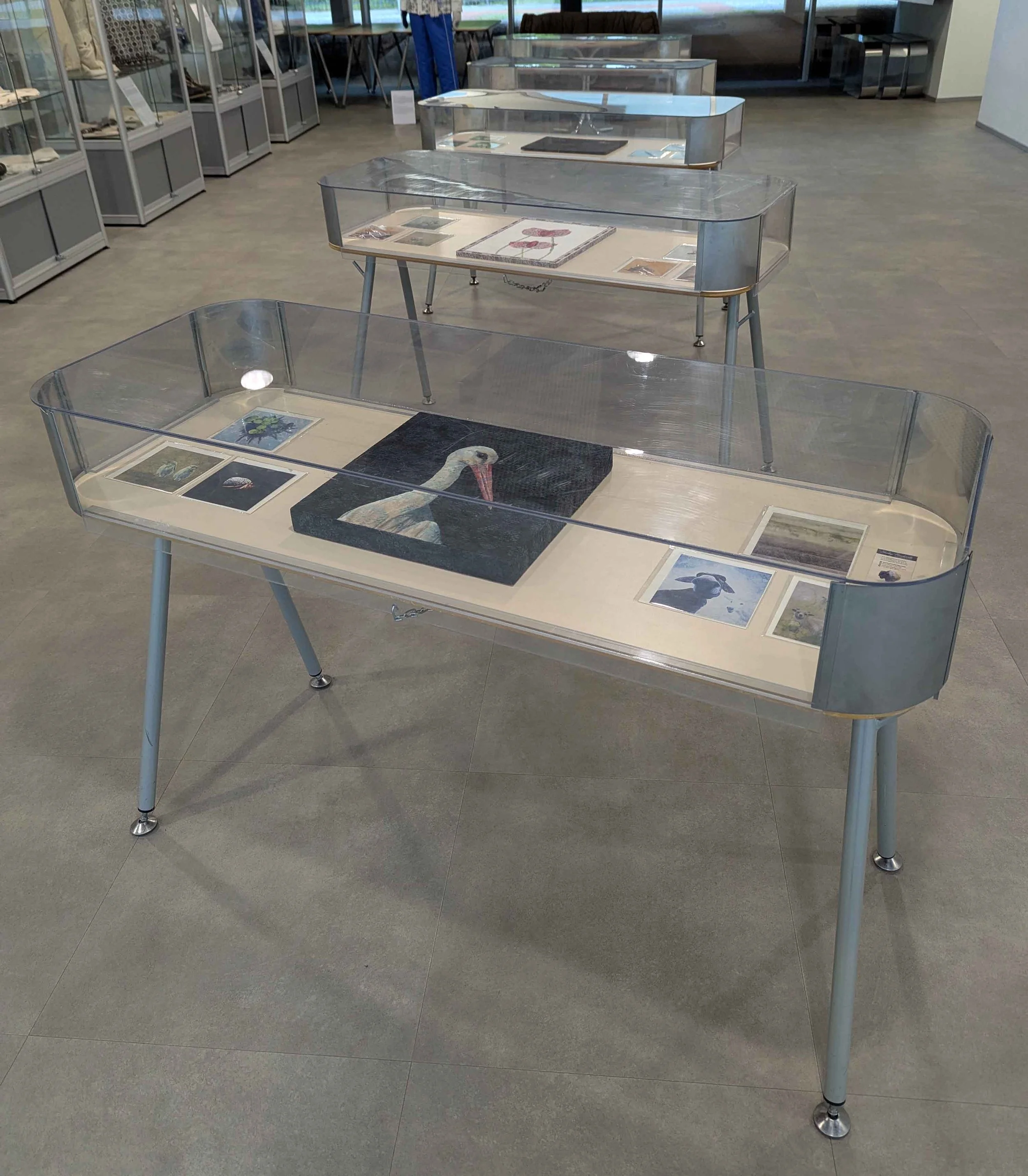 Exhibition at the Pärnu Keskraamatukogu (Central Library) Gallery!