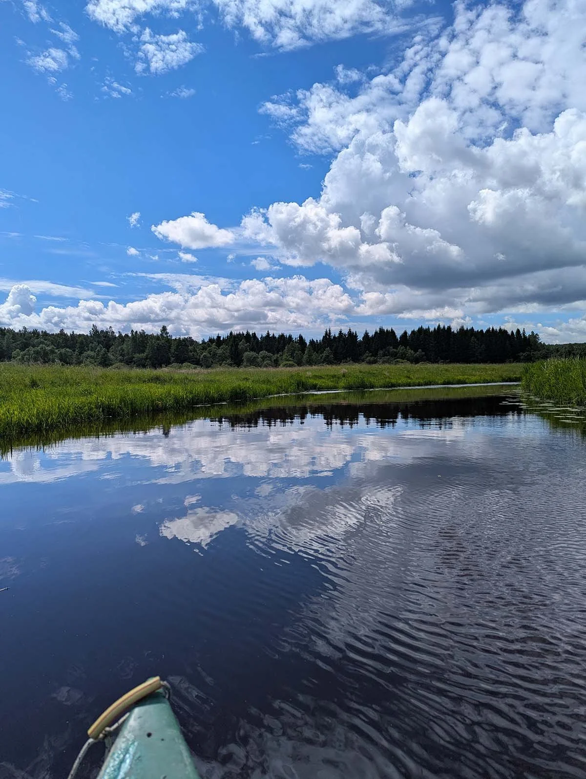 canoeing view 1.jpg