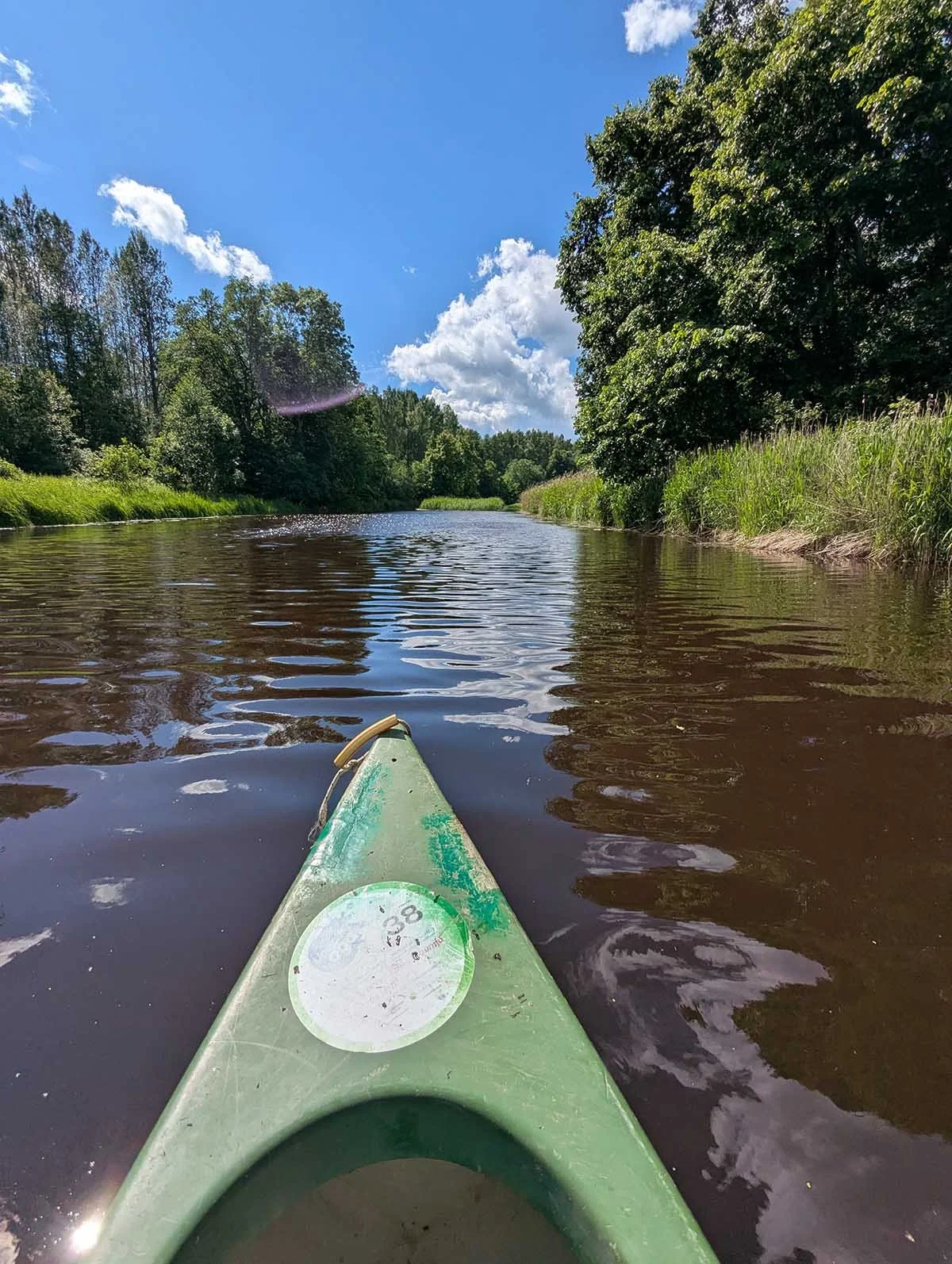 canoeing view 2.jpg