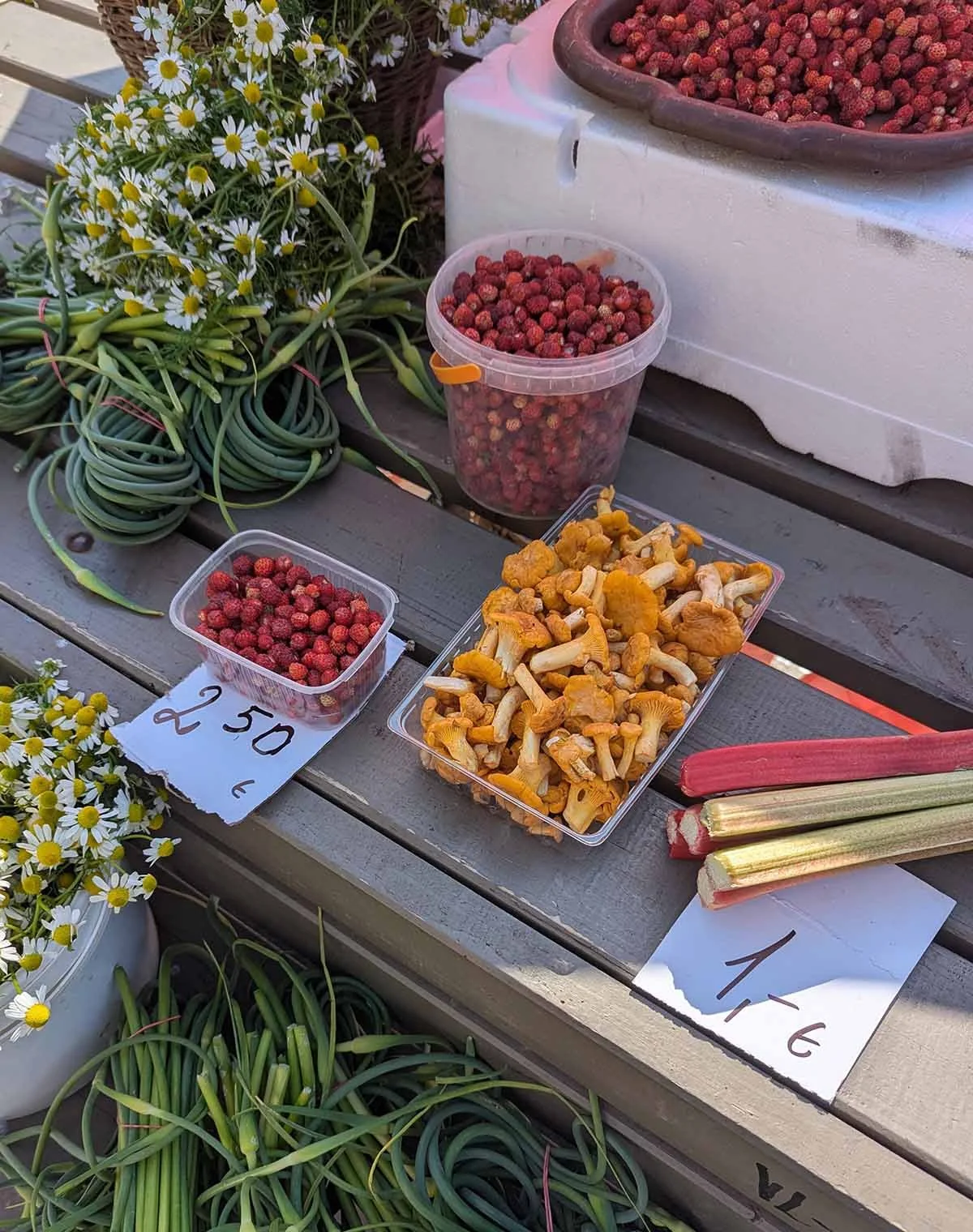 foraged.jpg