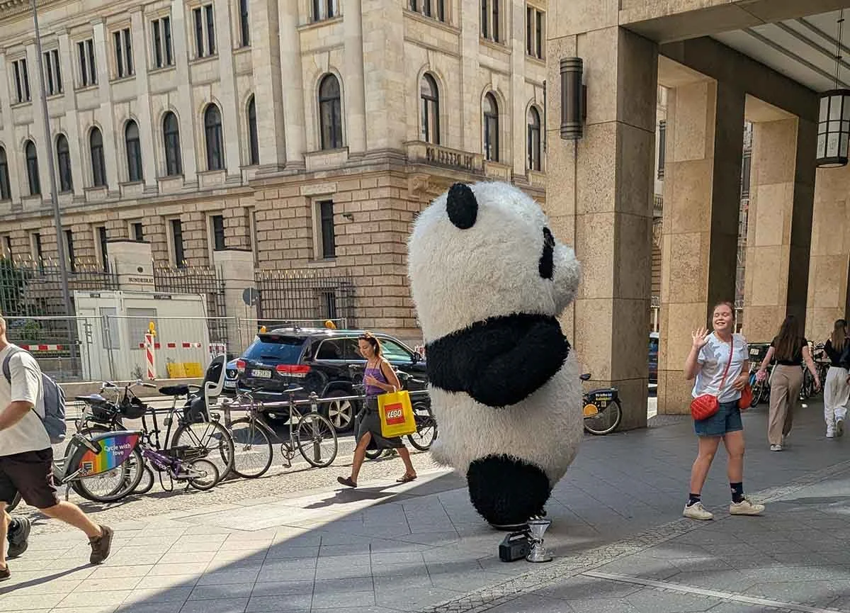 panda.jpg