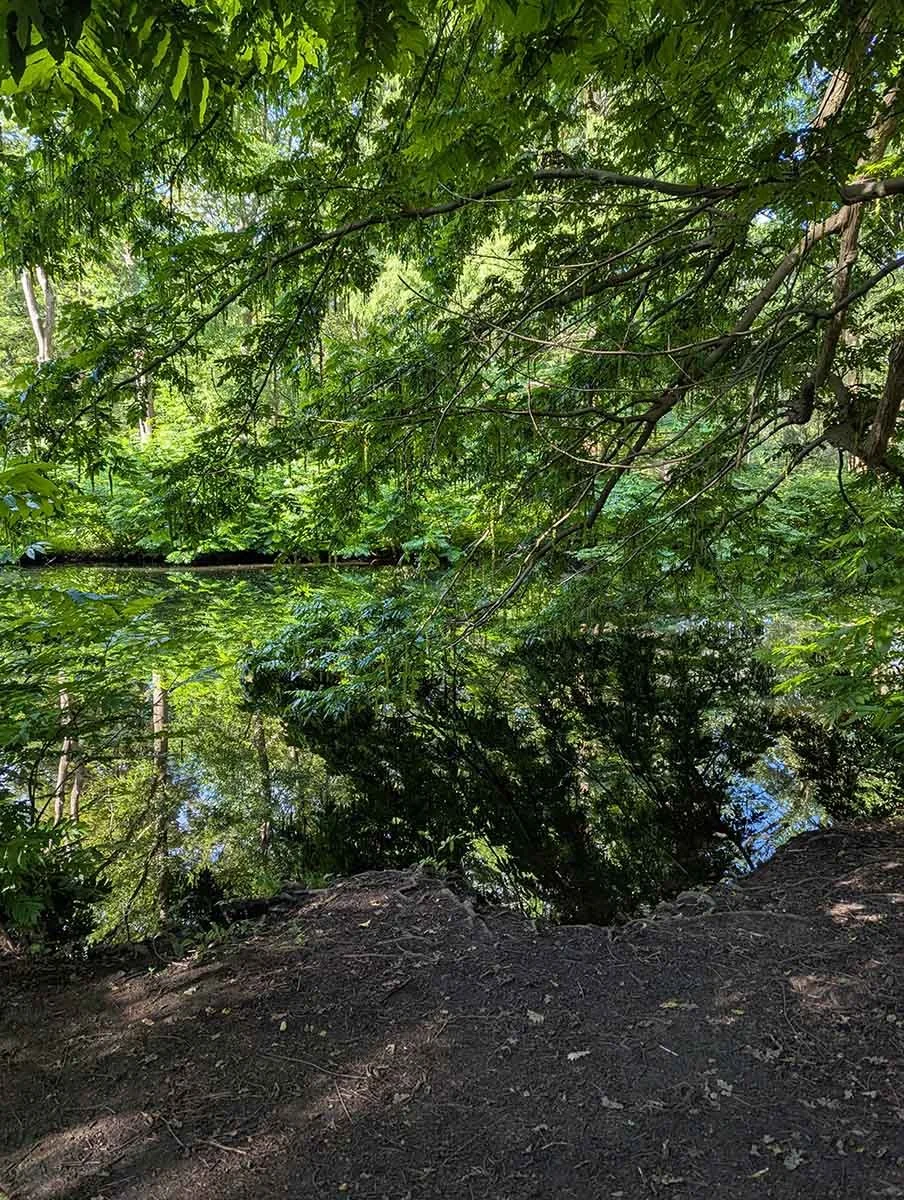 Tiergarten.jpg
