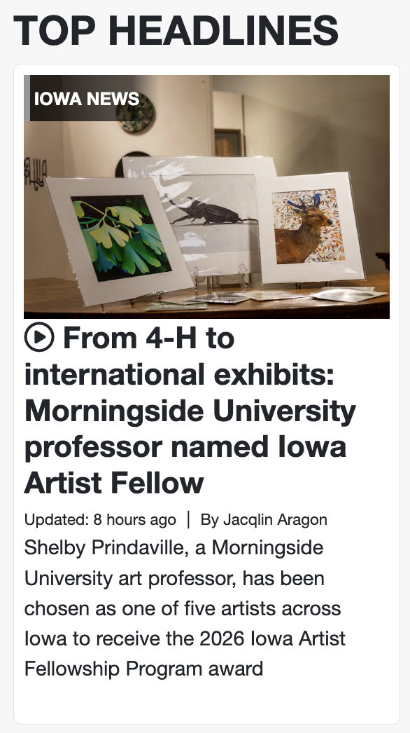 Iowa Artist Fellowship Press!