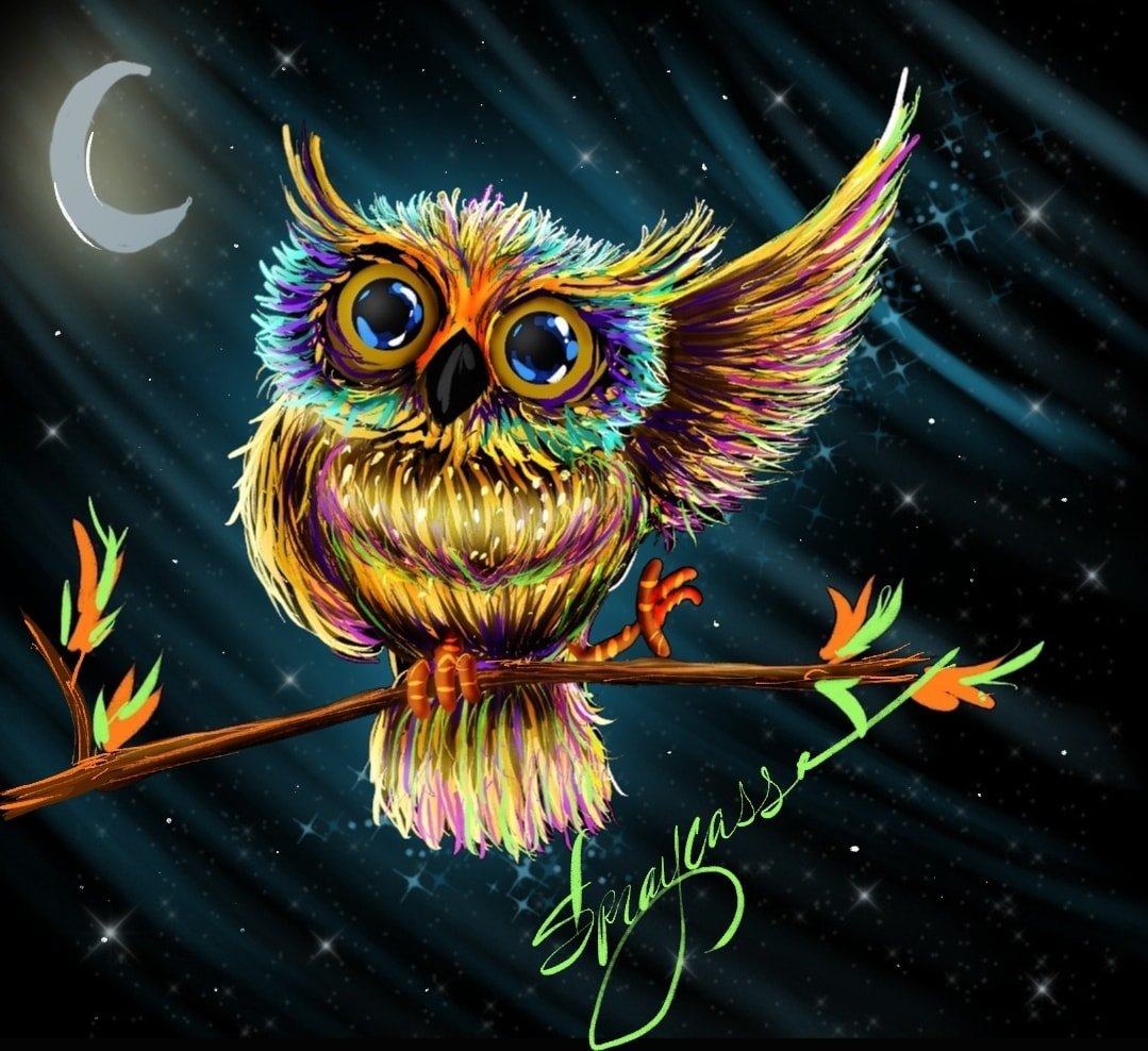 Night Owl