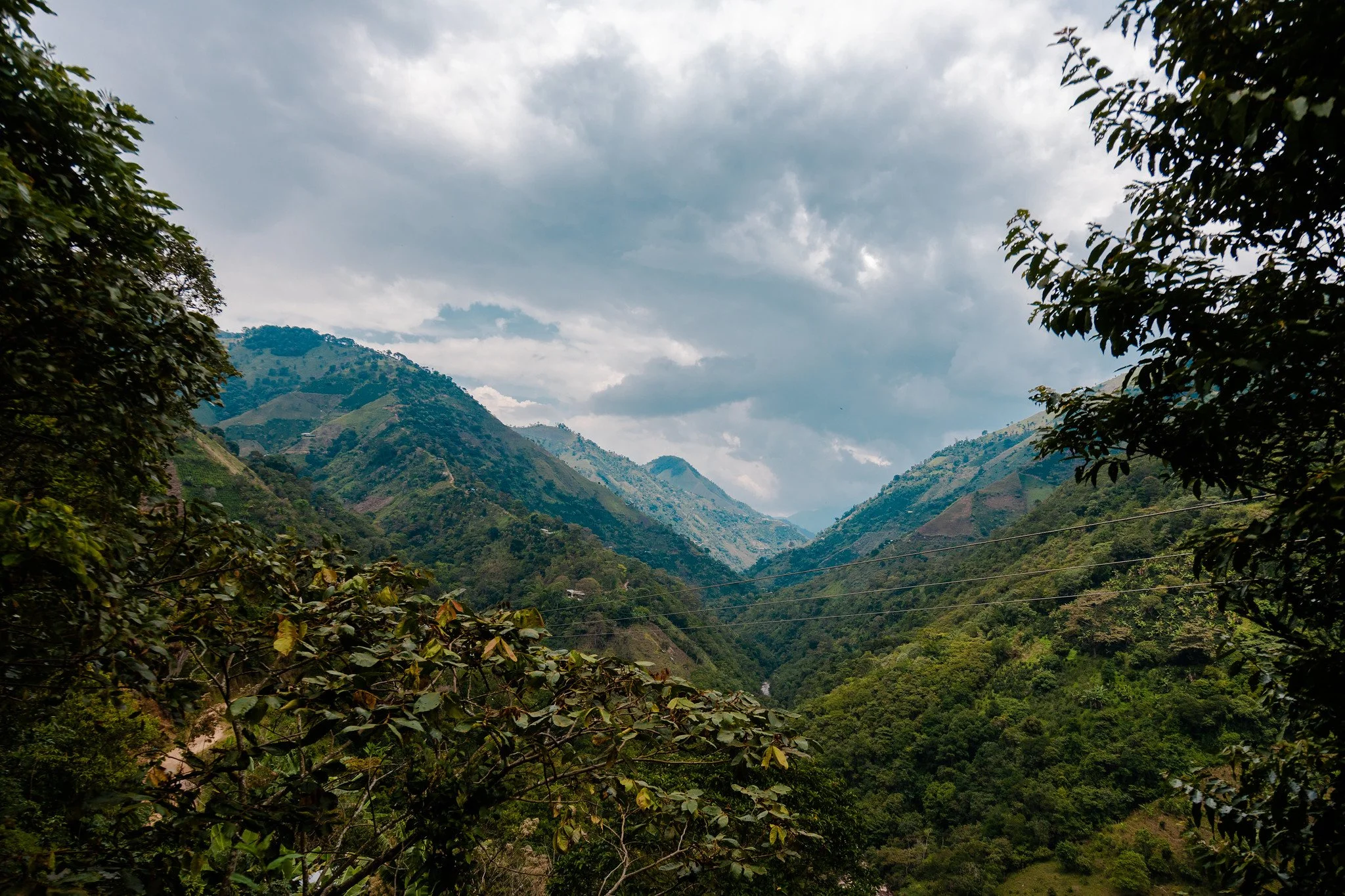 PLANADAS, TOLIMA8716505_86d4b2b91c_k.jpg