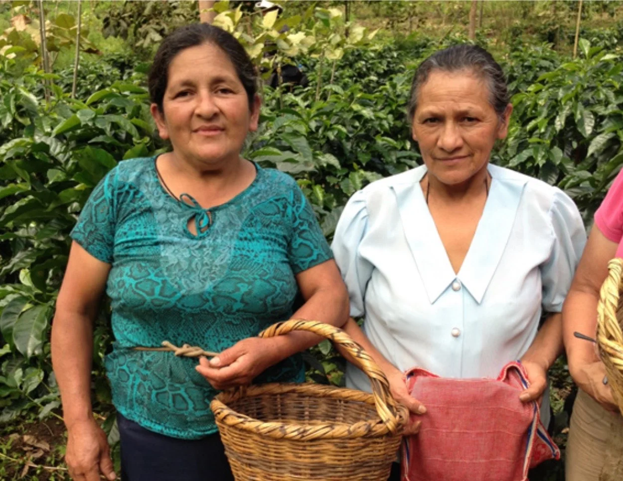 Peru Cafe Femenino Farmers 2.jpg