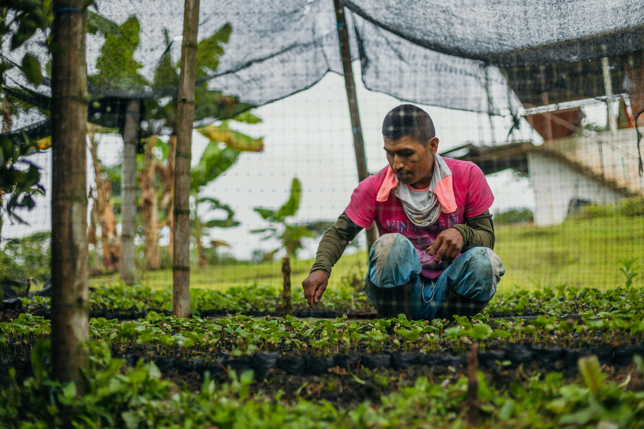 Colombia Albe Coffee Farmer