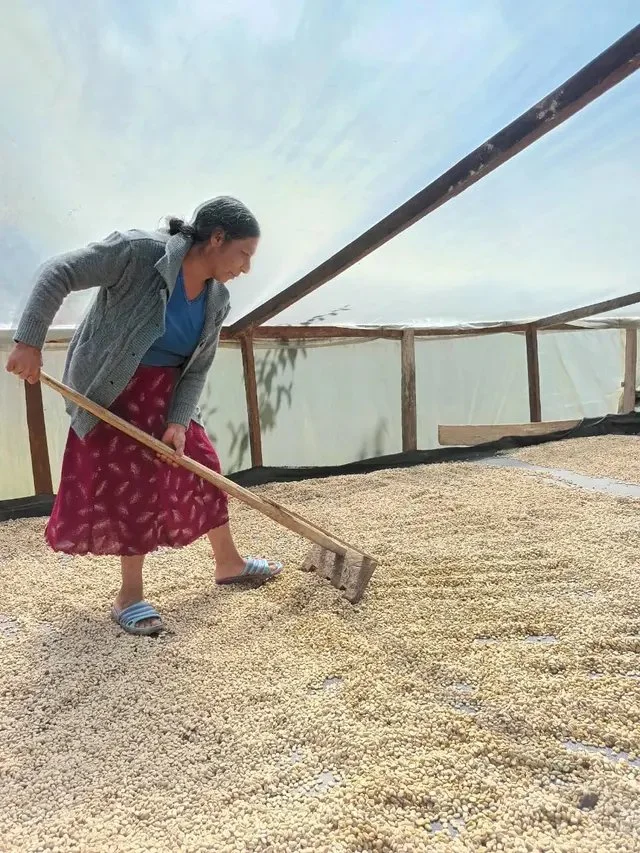 james coffee v1 Coffee + Convo with Juli James (virtual) — Stoke